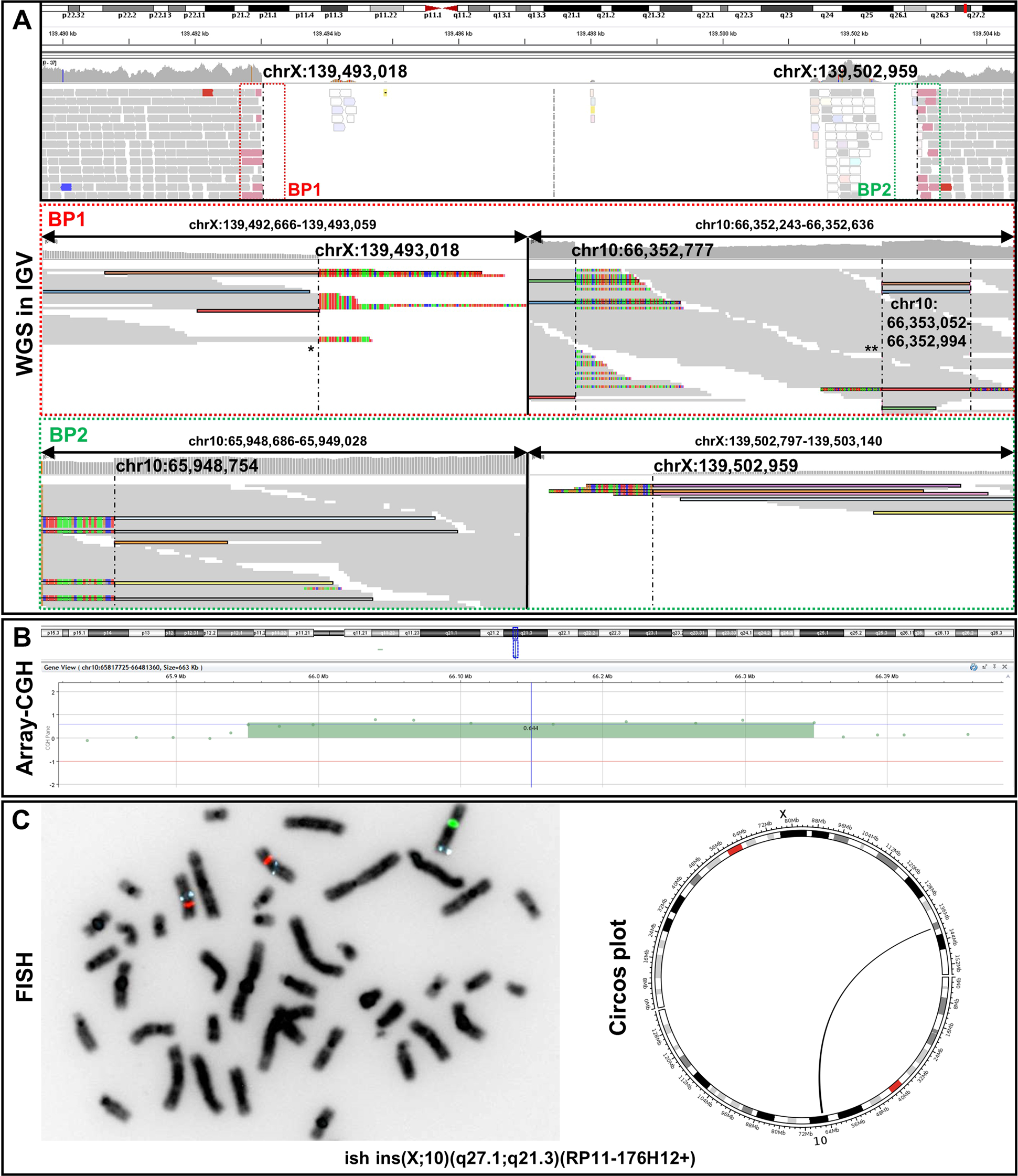 Fig. 1: Molecular genetic findings.