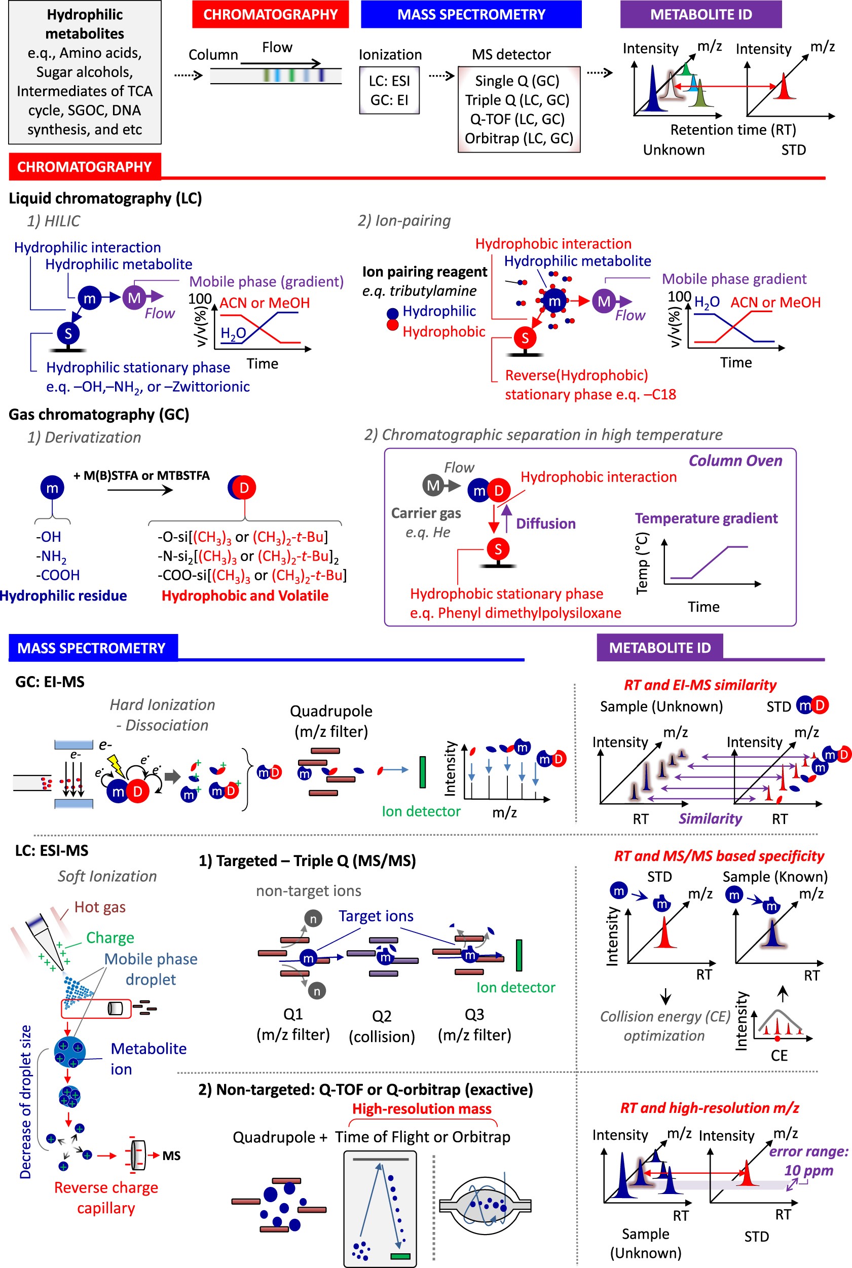 Recent advances in cancer metabolism: a technological perspective |  Experimental & Molecular Medicine