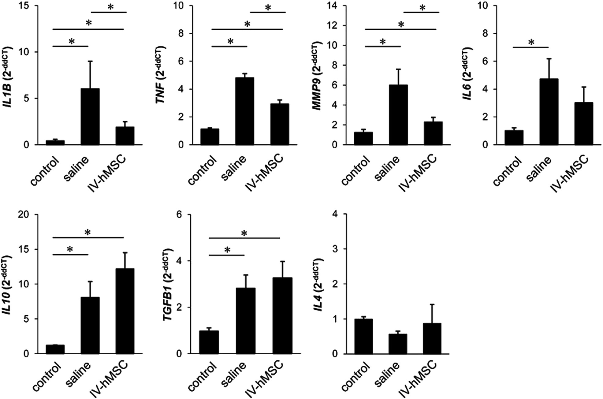 Fig. 3: Gene expression of inflammatory cytokines in MCAo rats treated with IV-hUMSCs.