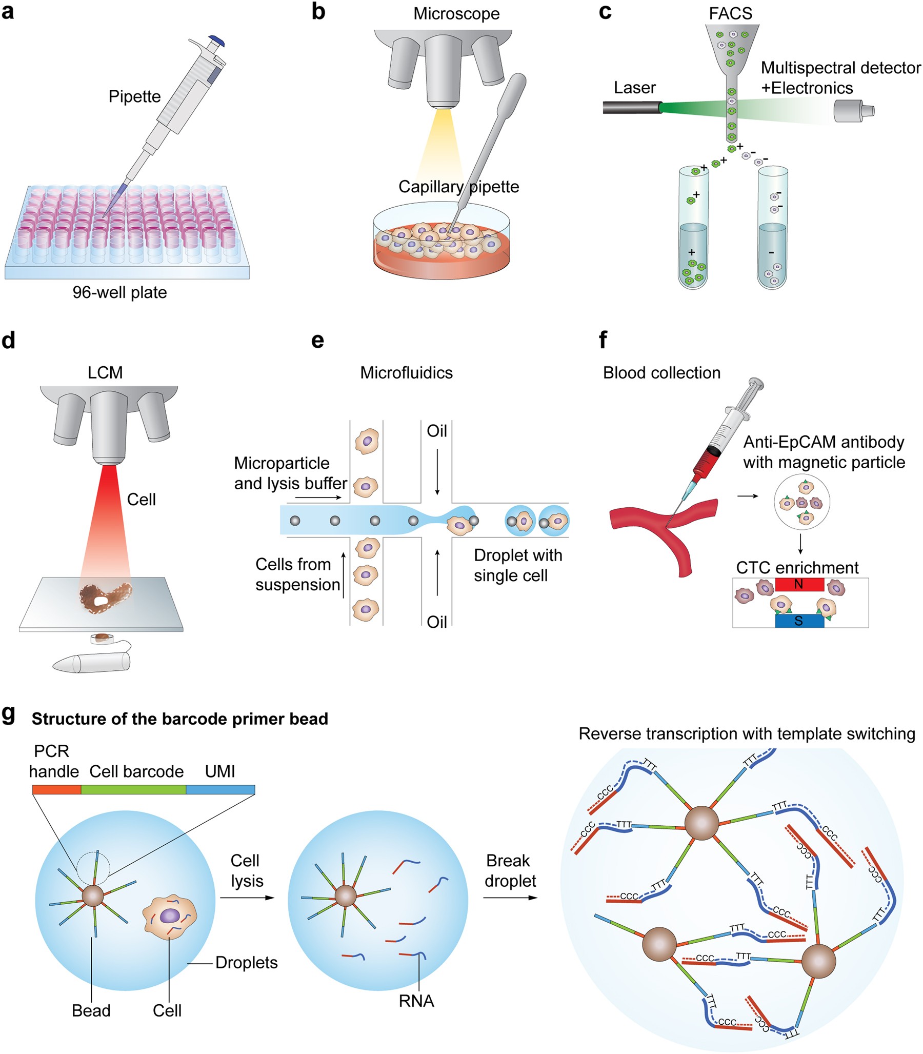 Single-cell RNA sequencing technologies and bioinformatics pipelines |  Experimental & Molecular Medicine