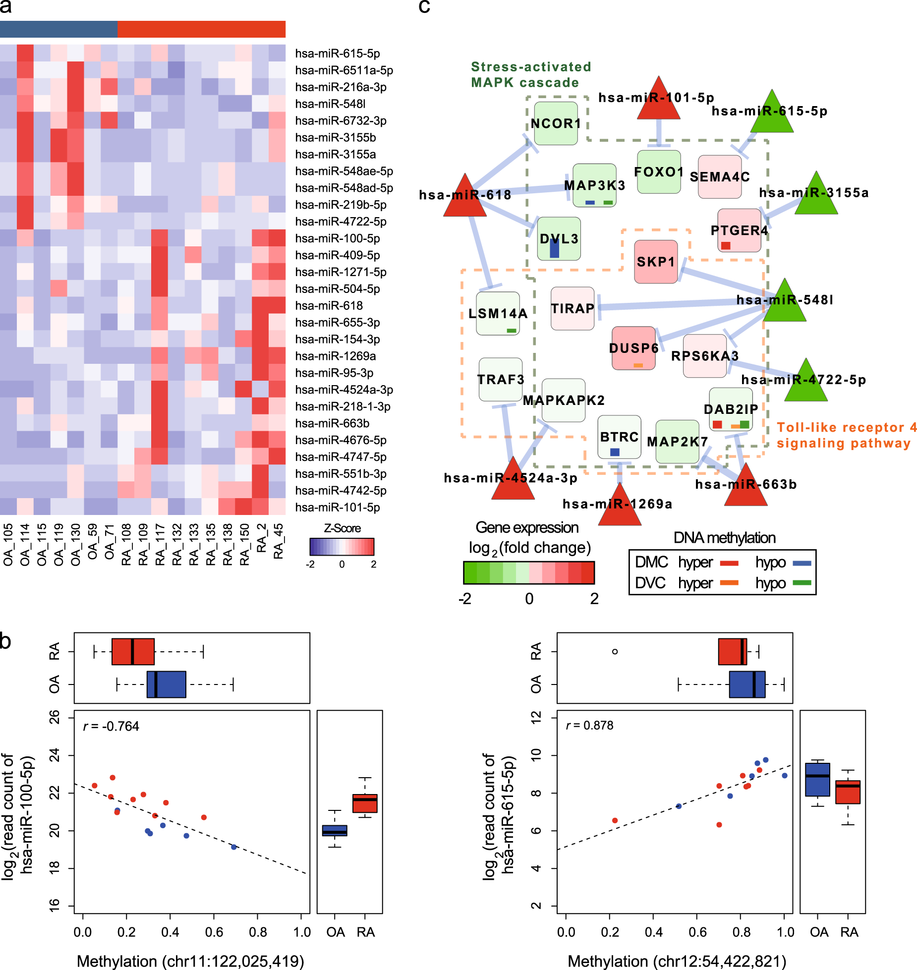 Fig. 5: Identification of differentially expressed miRNAs between RA and OA.