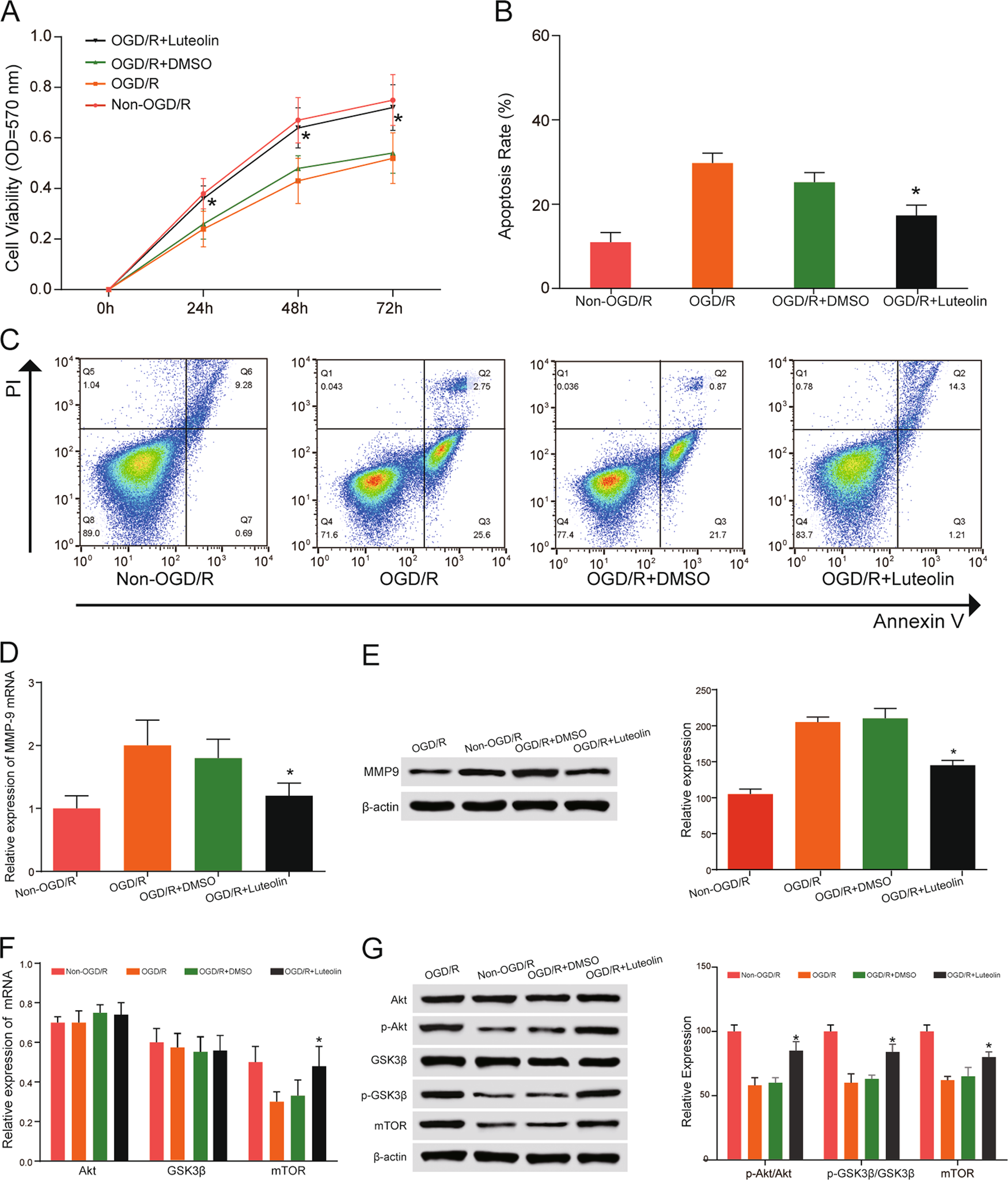 Fig. 3: Effect of luteolin on HBMECs.