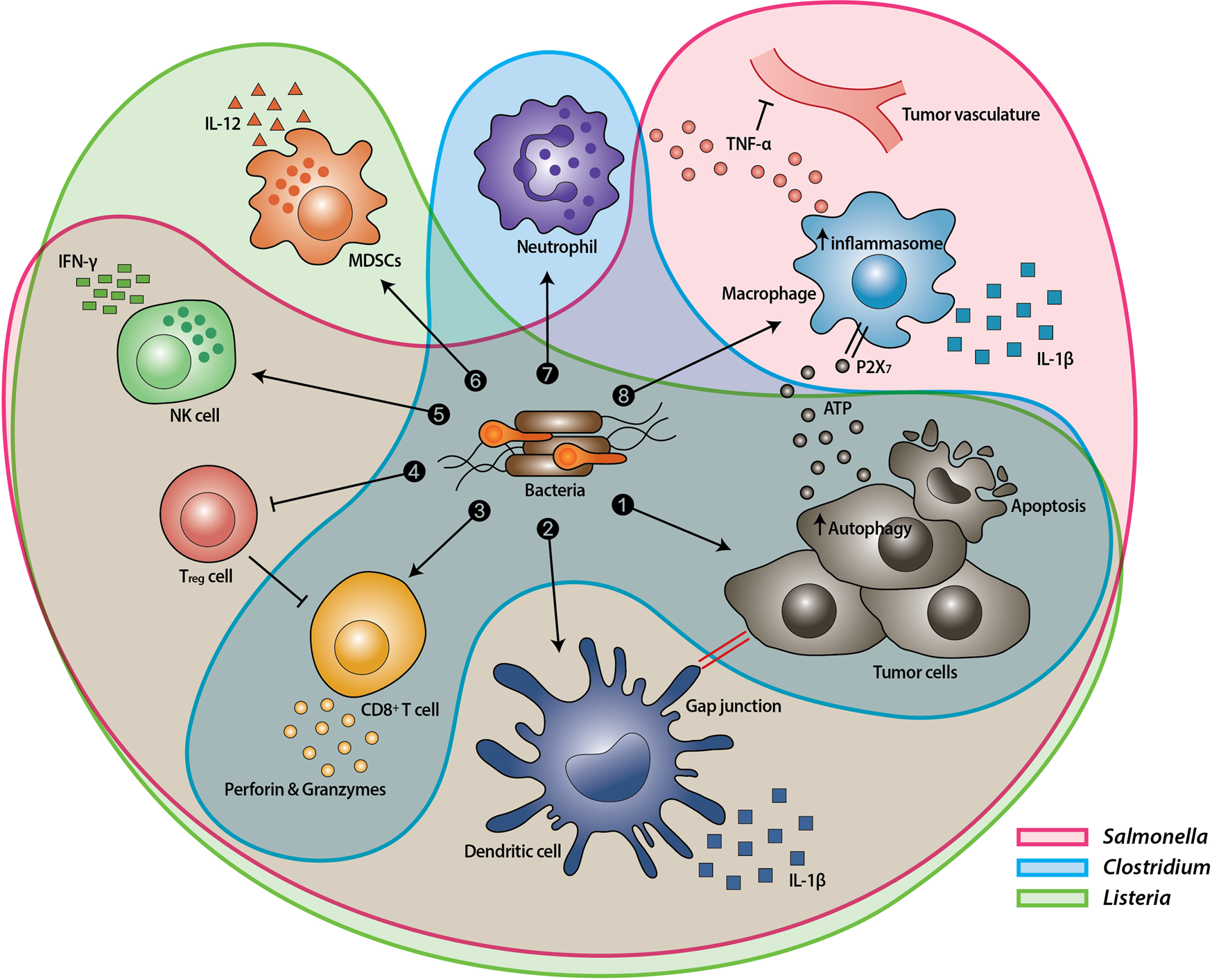 The Reason Cancer Evades Your Immune System So Incredibly Well