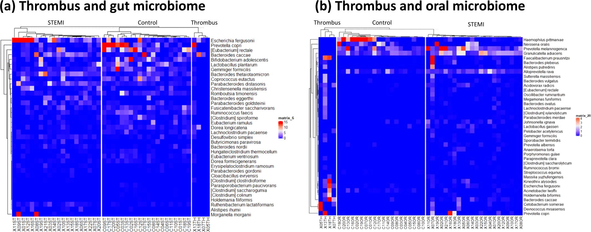 Fig. 5: Heatmap of the selected most differentially abundant features at the species level.