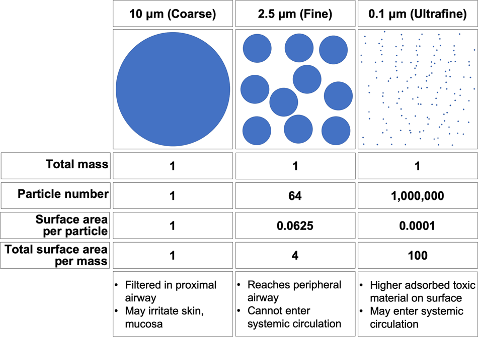 KR20160101977A - Surface treatment of particles and their use