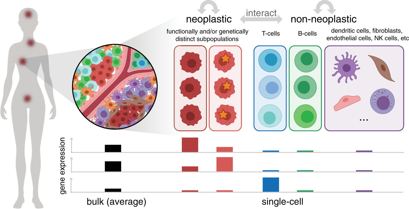 Precise identification of cell states altered in disease using healthy  single-cell references