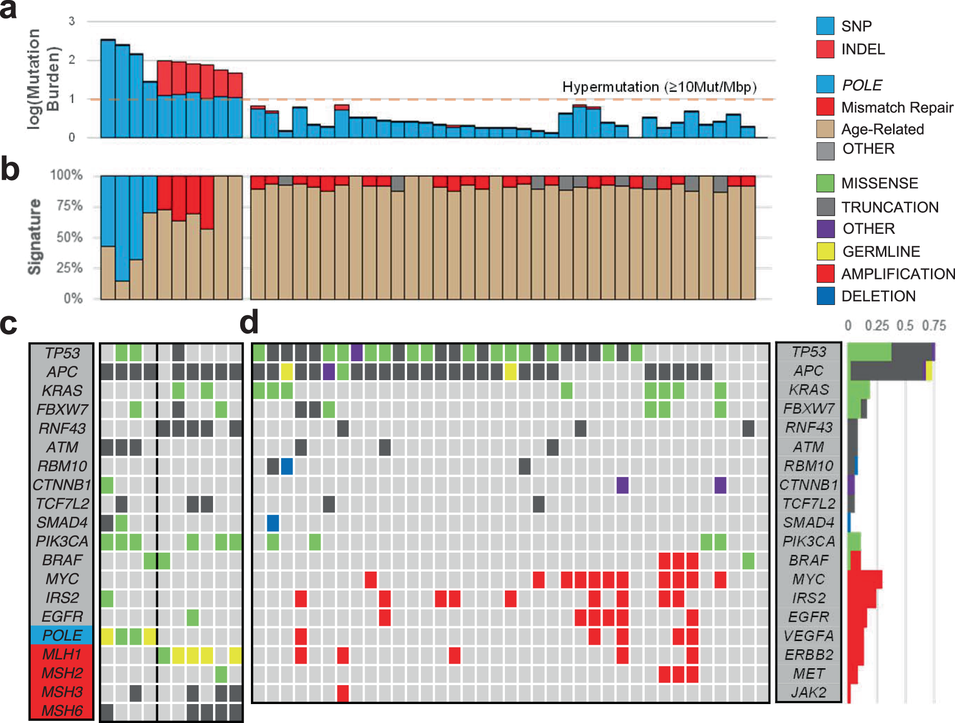 High prevalence of TP53 loss and whole-genome doubling in early-onset  colorectal cancer | Experimental & Molecular Medicine