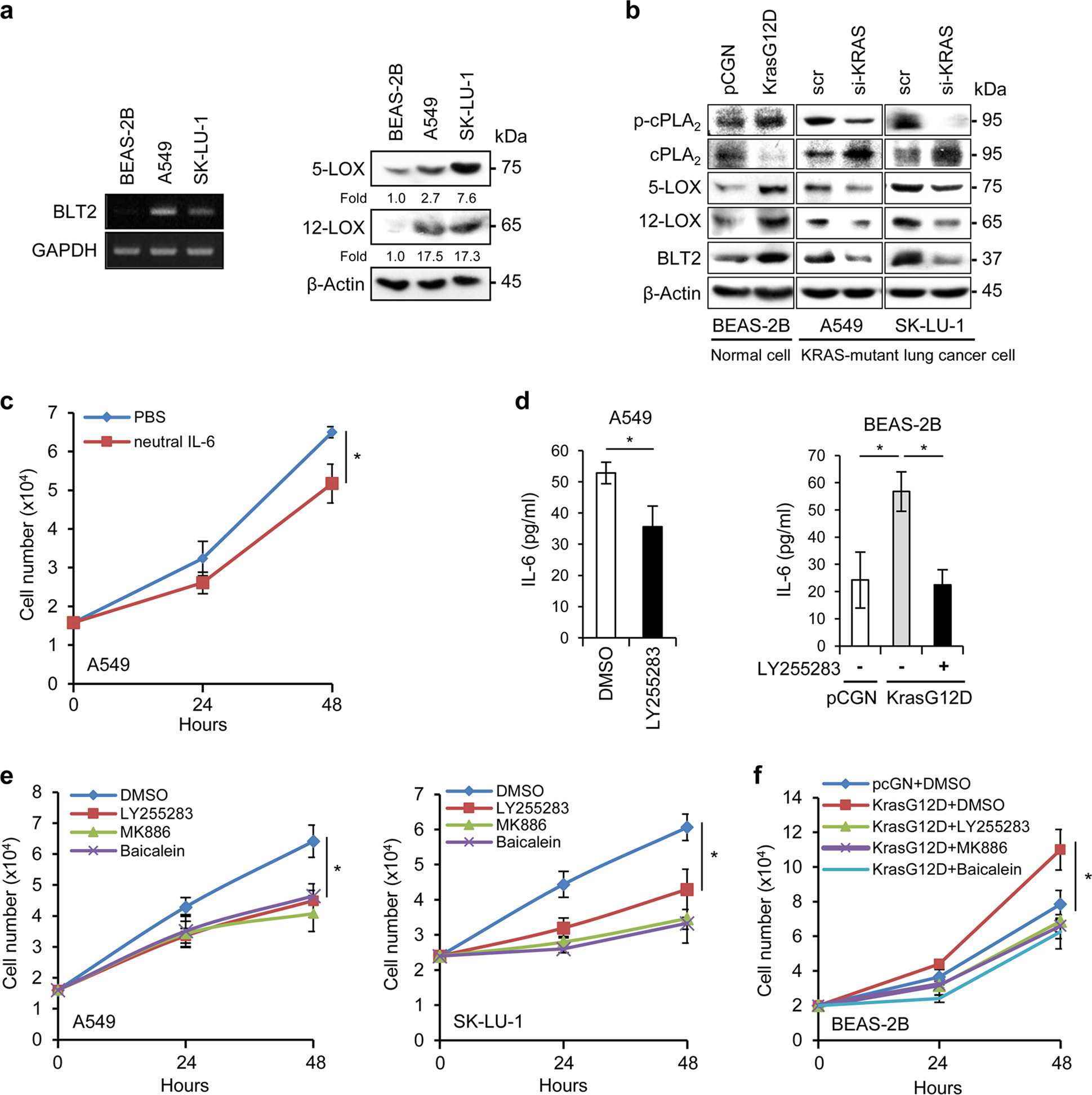 Leukotriene B4 Receptor 2 Contributes To Kras Driven Lung Tumor Formation By Promoting Interleukin 6 Mediated Inflammation Experimental Molecular Medicine