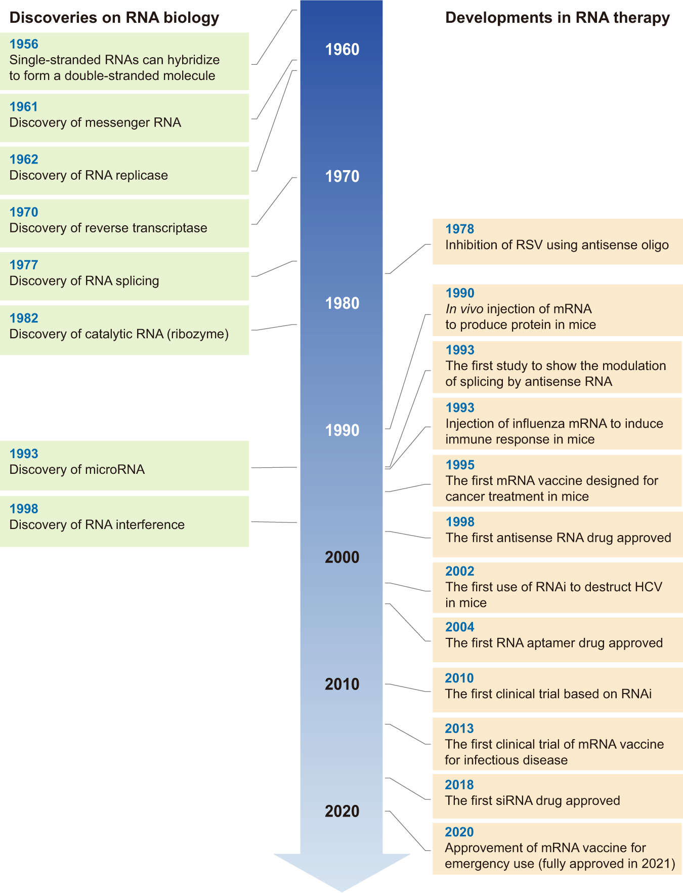 Dual Purpose Vectors for Rare Neurological Diseases: Molecular Therapy