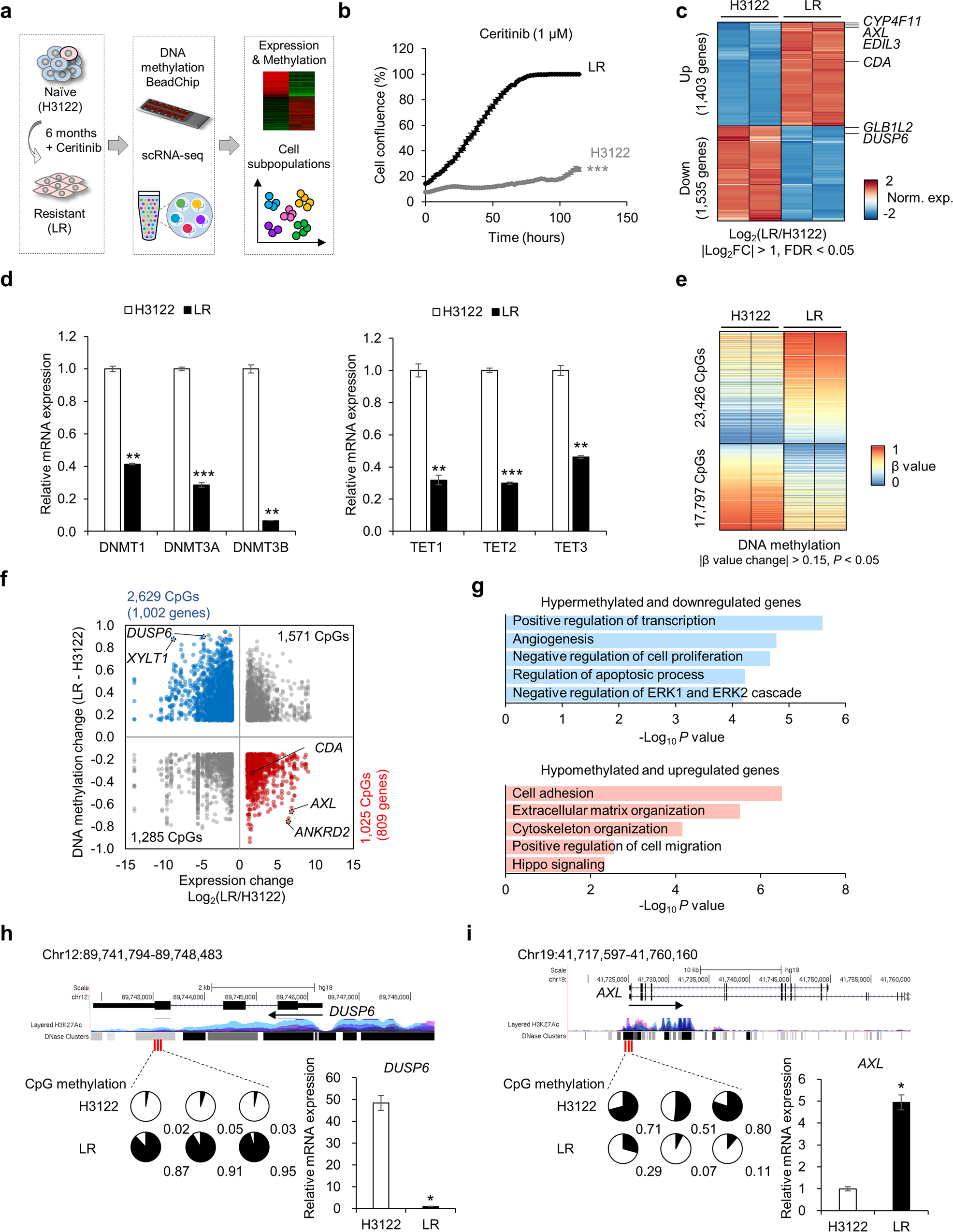 Fig. 1: DNA methylome and transcriptome changes in ceritinib resistance.