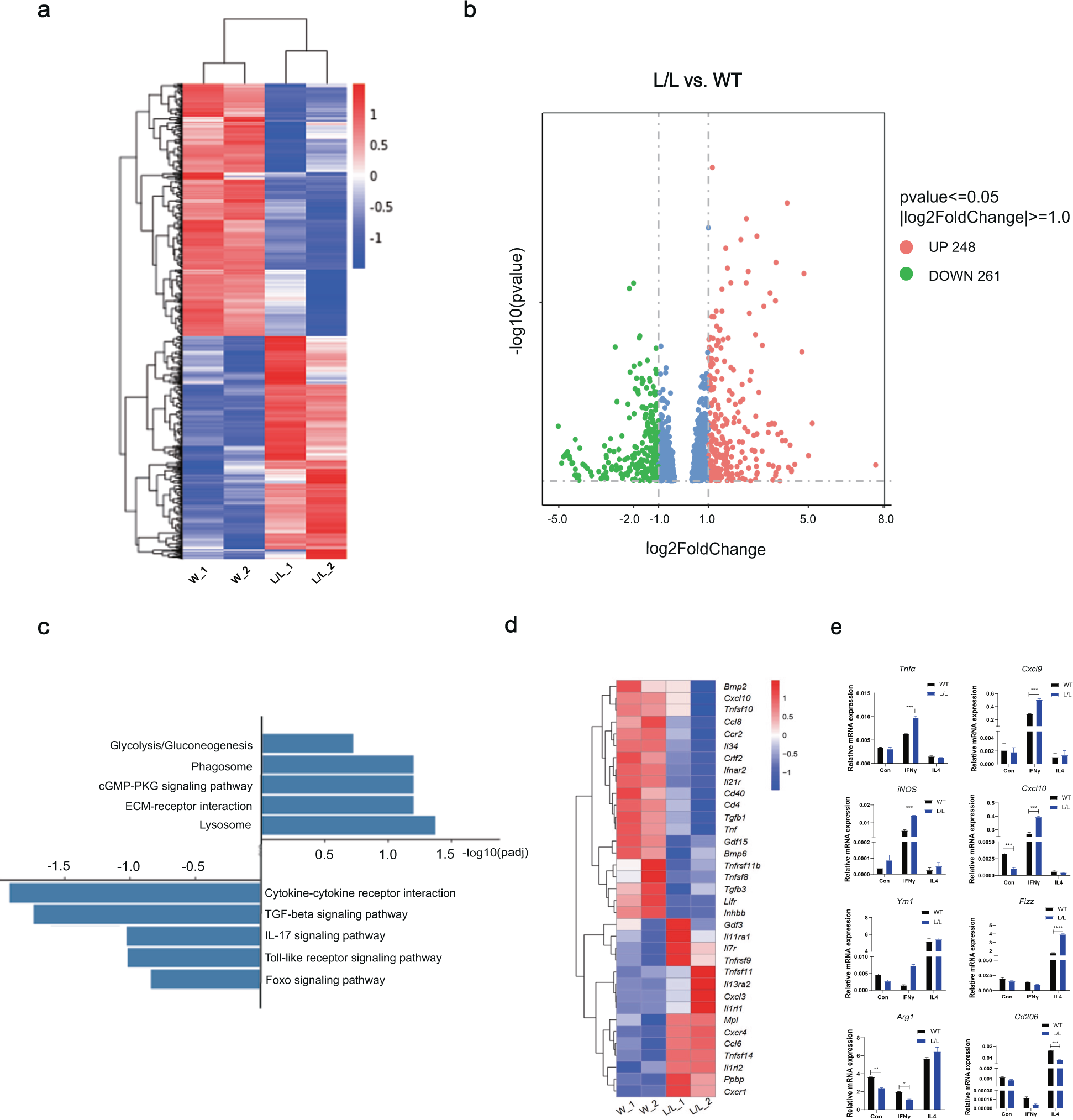 Fig. 3: Genome-wide analysis of SET-mediated transcriptional regulation in BMDMs.