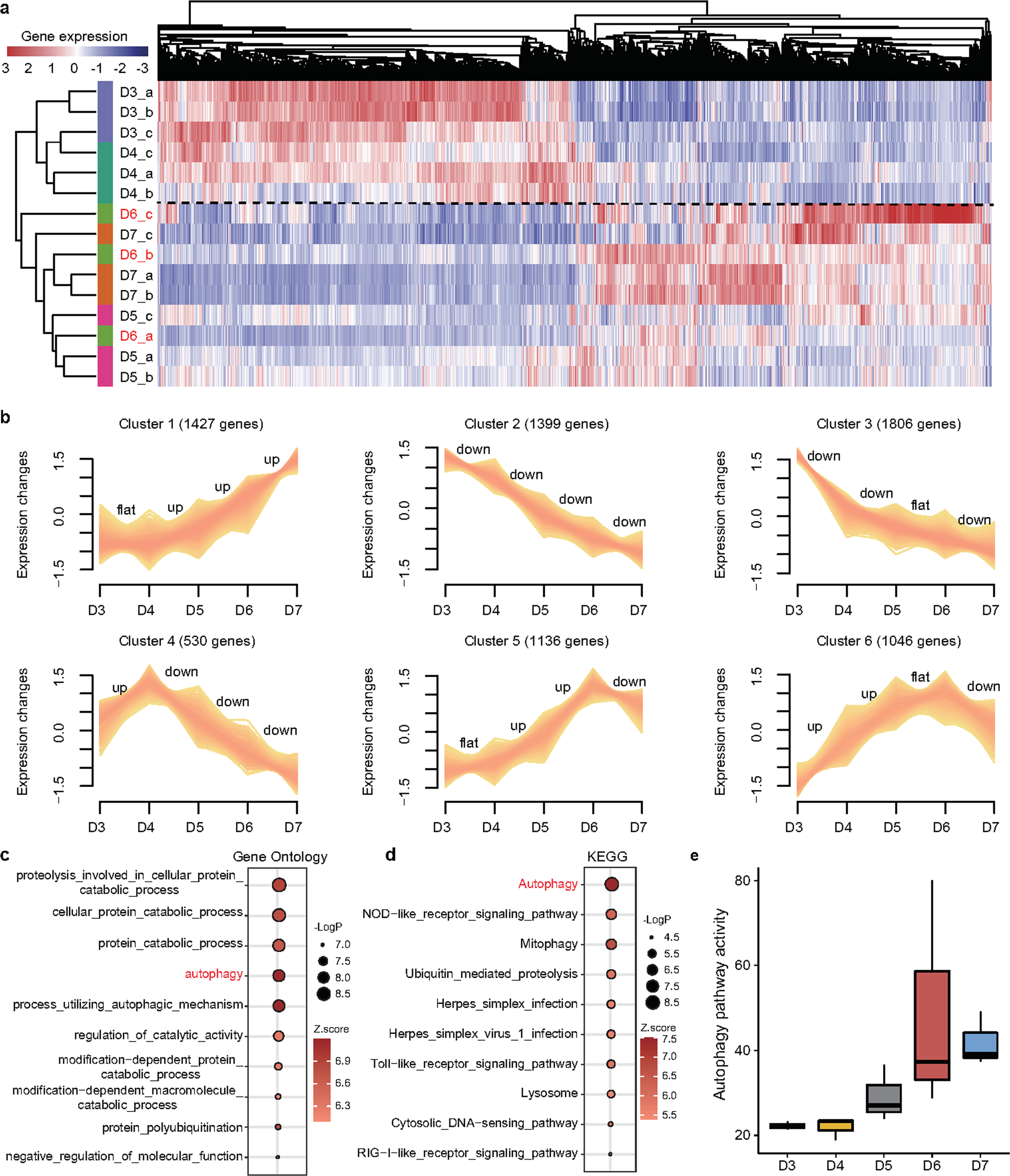 Fig. 2: Dynamic changes in gene expression during the progression of osteoporosis.
