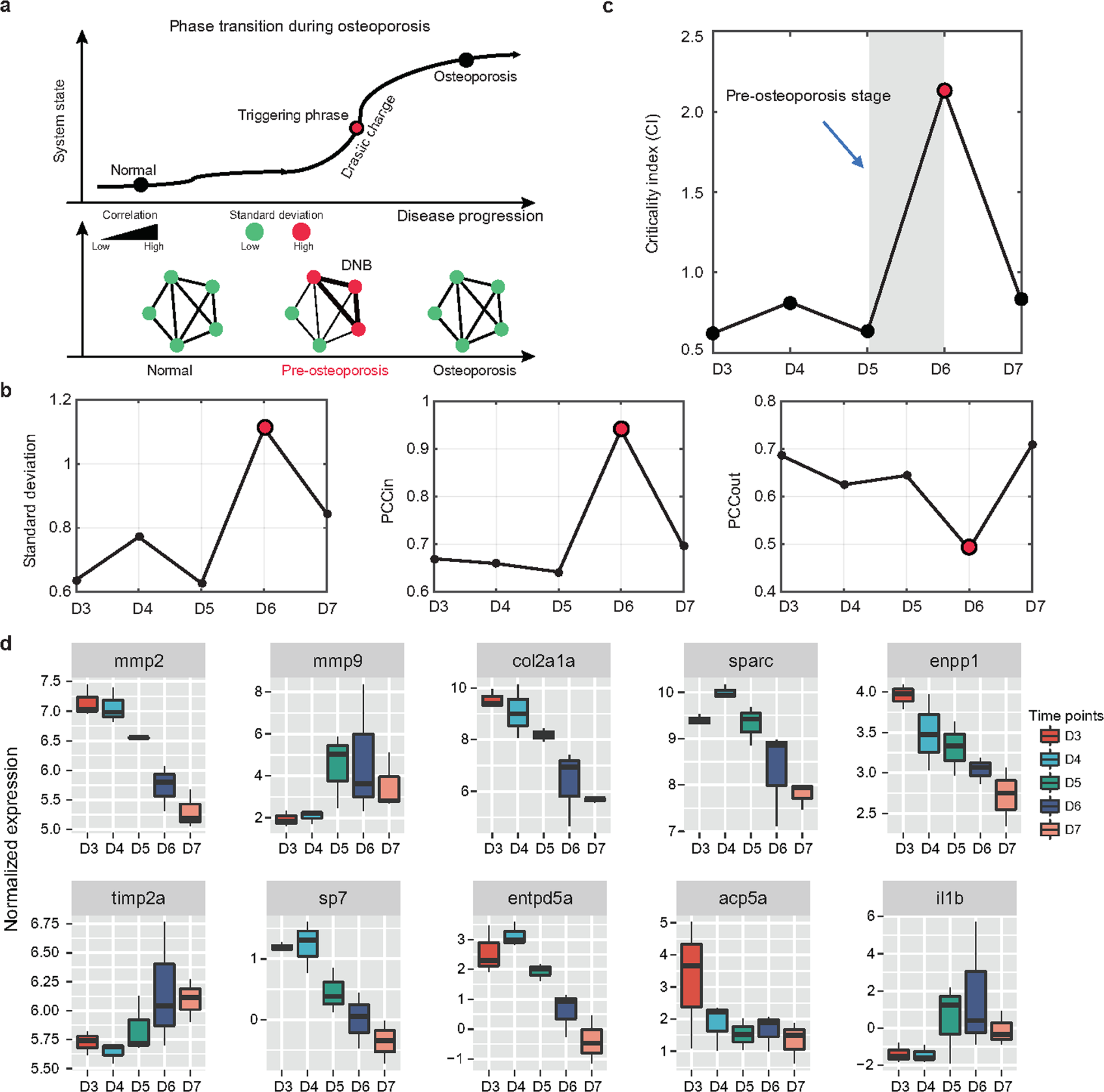 Fig. 3: Identifying the triggering phase of osteoporosis by the DNB algorithm.