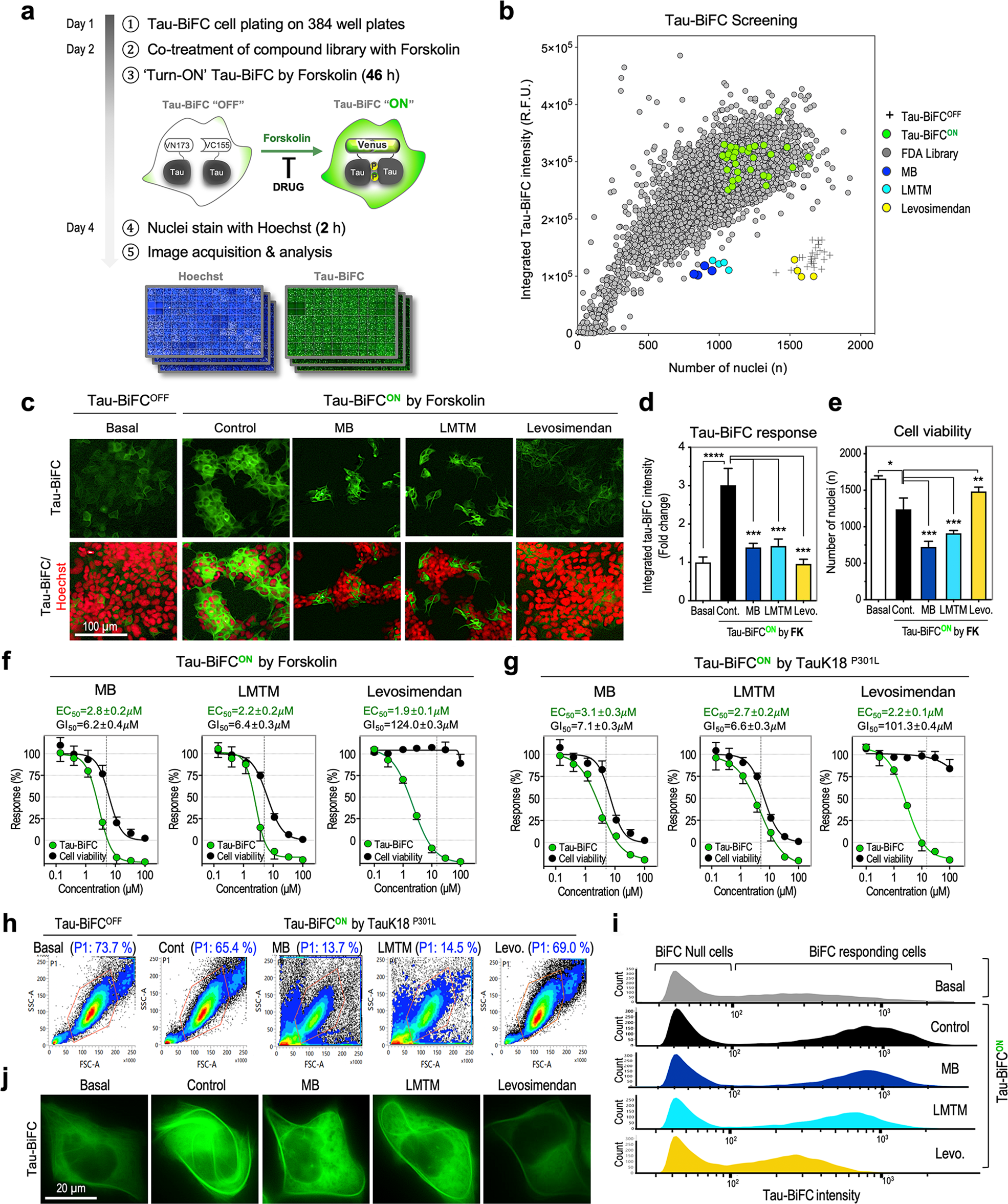 Levosimendan inhibits disulfide tau oligomerization and ameliorates tau  pathology in TauP301L-BiFC mice | Experimental & Molecular Medicine