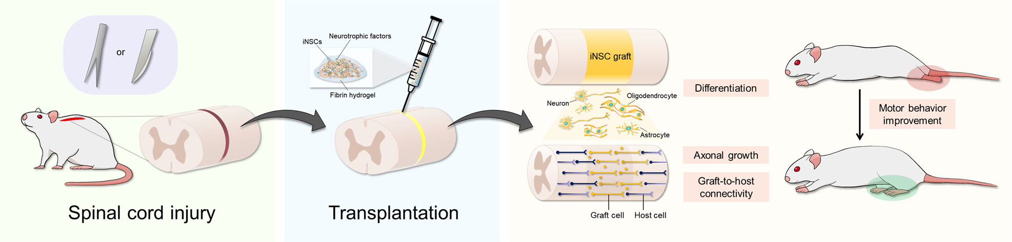 Fig. 7: Schematic illustration.