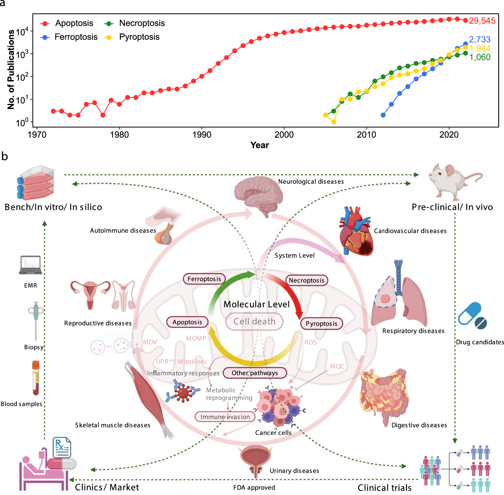 Mitochondrial signalling and homeostasis: from cell biology to