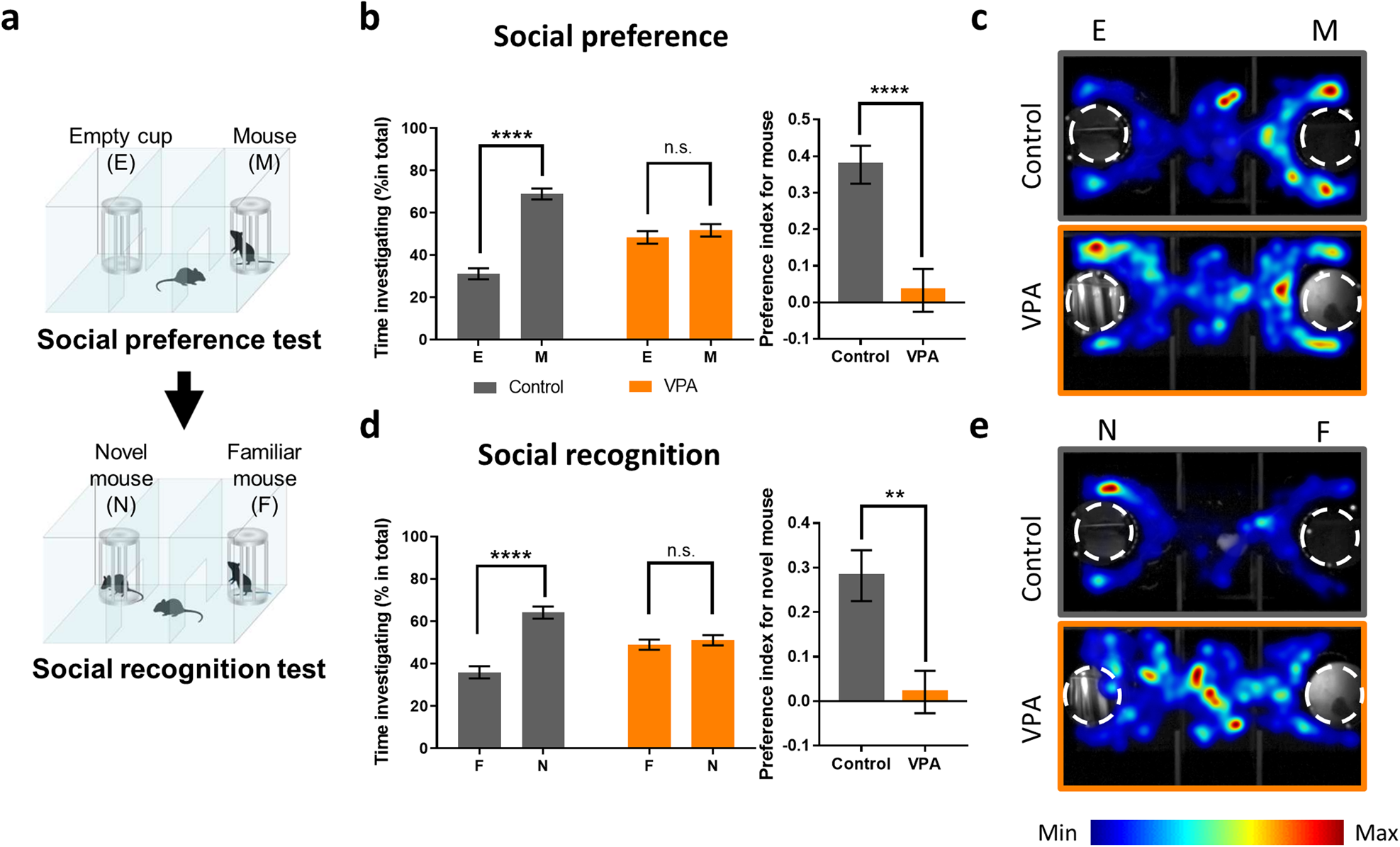 Fig. 1: Social deficits in VPA-exposed mice.