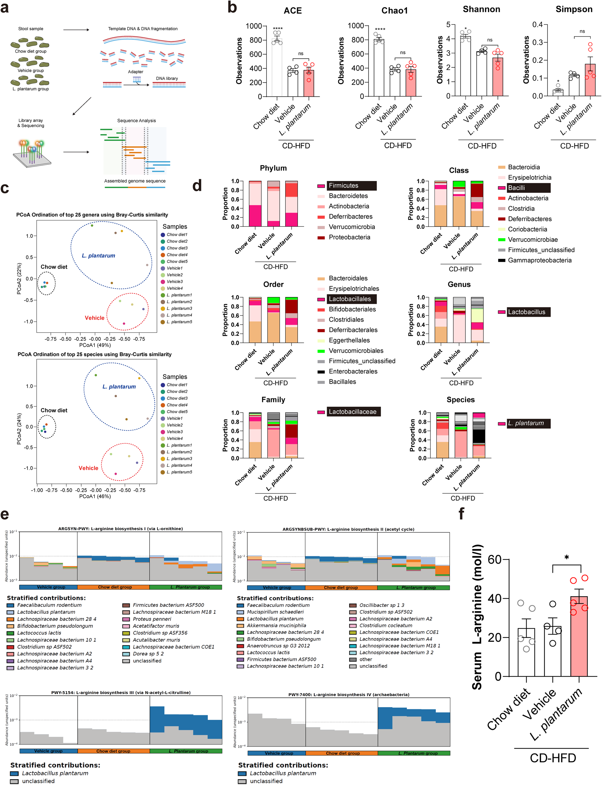 Fig. 5: l-Arginine biosynthesis is enhanced by L. plantarum treatment in the intestine.