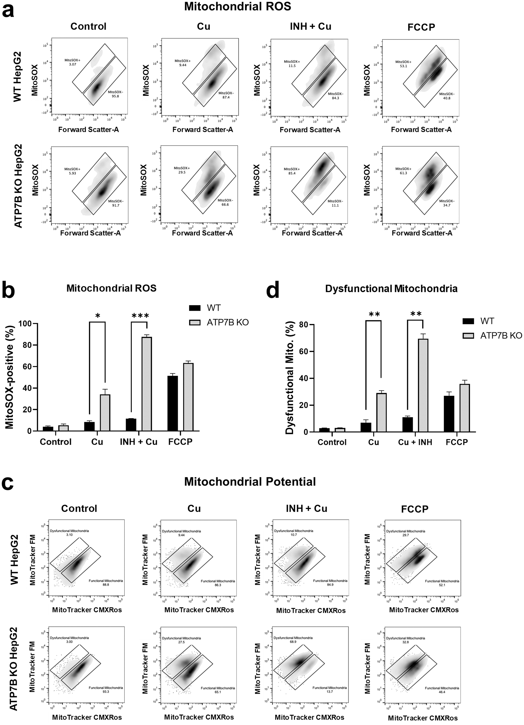 Fig. 6: Isoniazid (INH) and copper (Cu) induce mitochondrial dysfunction in HepG2 cells.