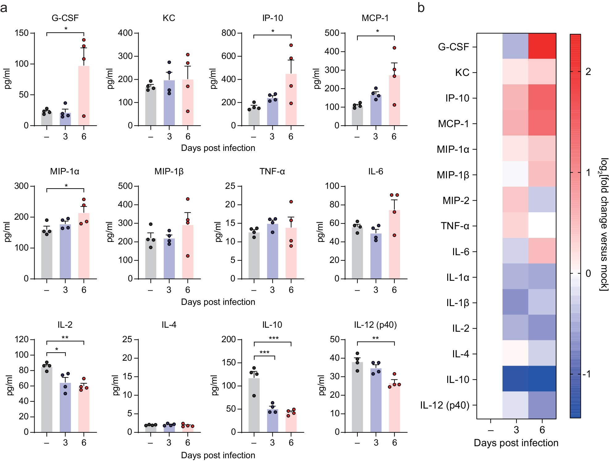Fig. 4: Cytokine and chemokine analysis following SARS-CoV-2 infection in the lungs of the double-transgenic (double-Tg) mice.