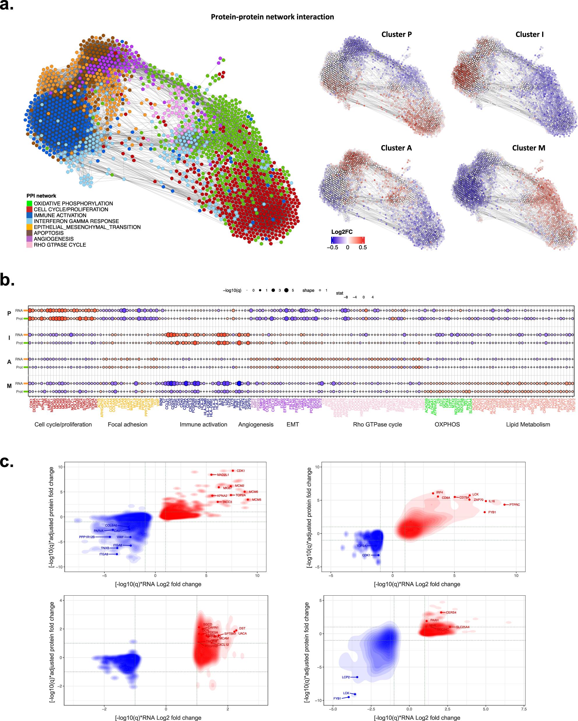 Fig. 2: Proteome correlation clustering and characteristics associated with subgroups.