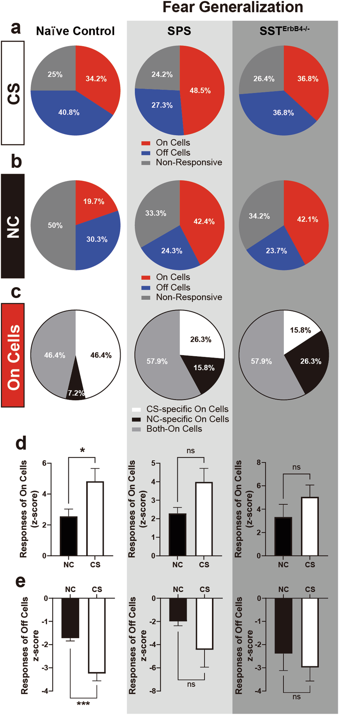 Fig. 6: ErbB4 in SST+ neurons is required for the bimodal activity of CeL On/Off cells.