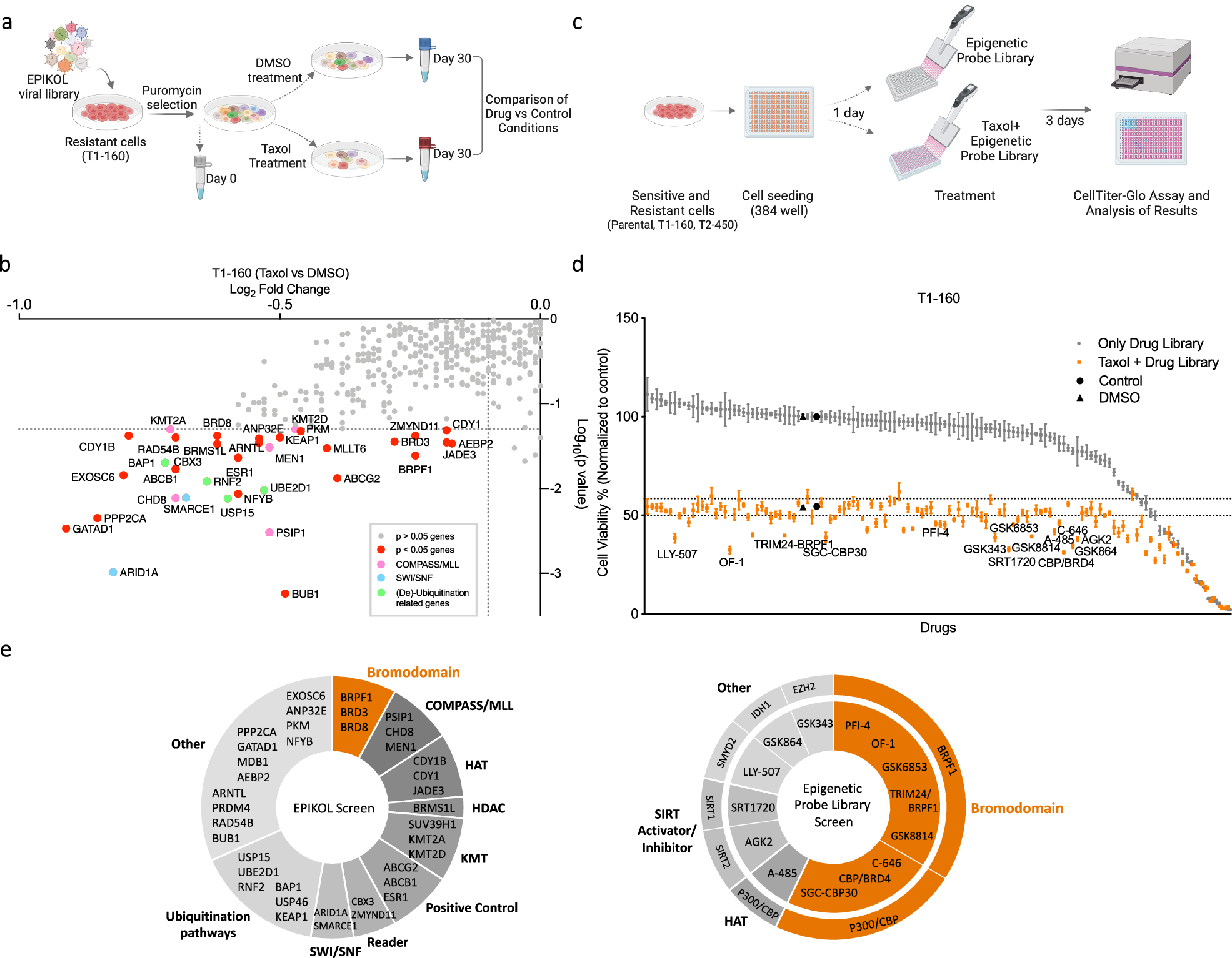 Fig. 3: Chromatin-focused genetic and chemical probe library screens reveal epigenetic vulnerabilities of Taxol-resistant TNBC cells.
