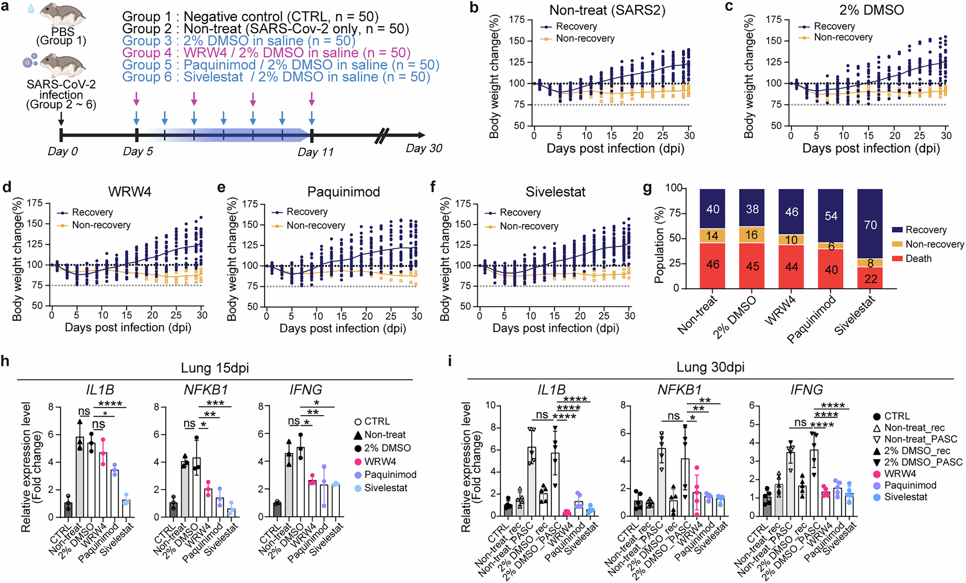 Fig. 6: Sivelestat, a neutrophil elastase inhibitor, reduces fibrosis and inflammation in PASC.