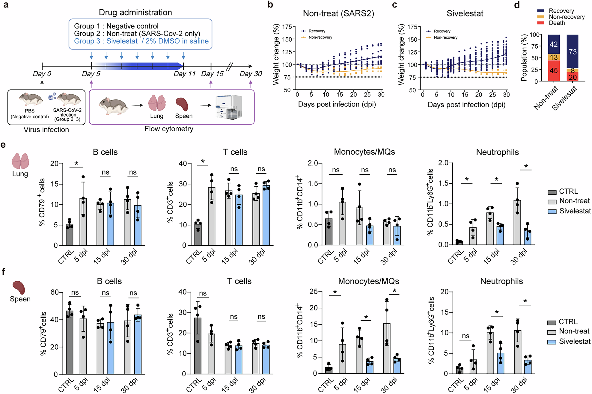 Fig. 8: Sivelestat treatment selectively modulates innate immune cell populations in lung and spleen.