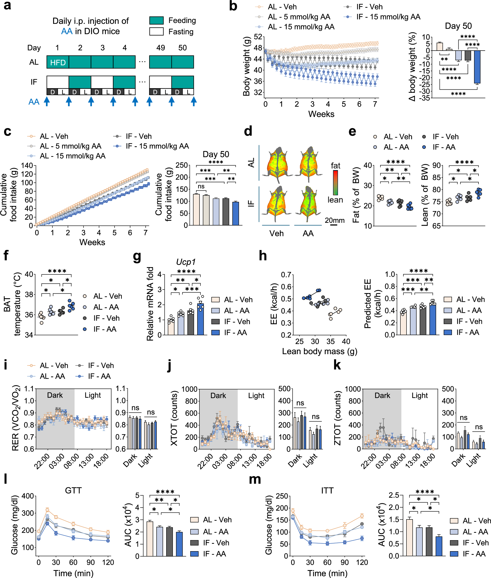 Threonic acid, an ascorbic acid metabolite, synergizes with intermittent  fasting to ameliorate obesity