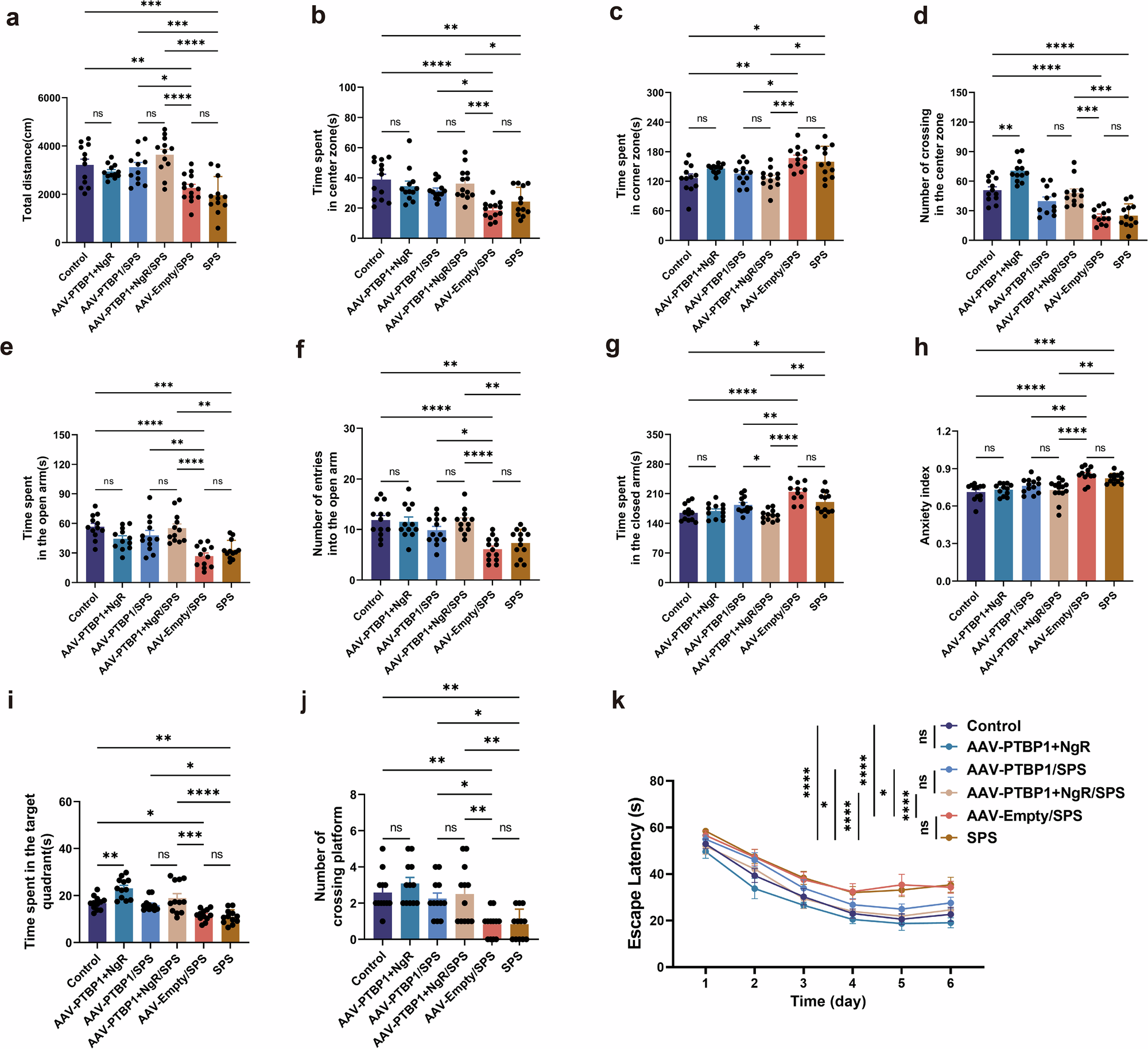 Fig. 8: PTBP1 and NgR KD demonstrates a more potential benefit for PTSD-like behaviors over PTBP1 KD alone, while also rescuing anxiety in normal PTBP1-KD mice.