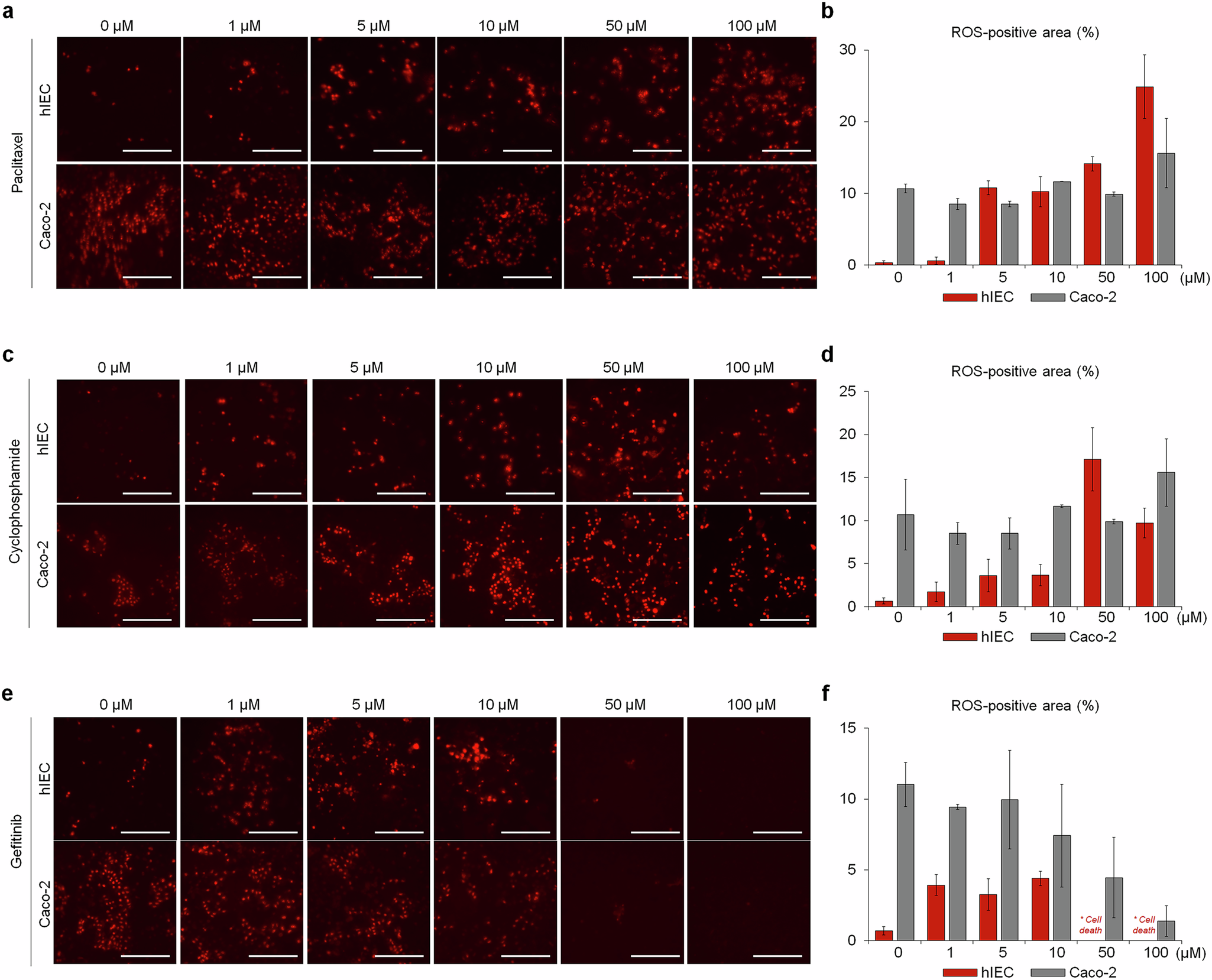Fig. 3: Dose-dependent changes in ROS production following drug treatment.