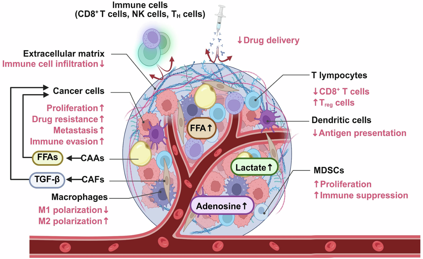 Metabolic crosstalk among cancer-associated fibroblasts, adipocytes and immune cells as an immunosuppressive tumor microenvironment driver