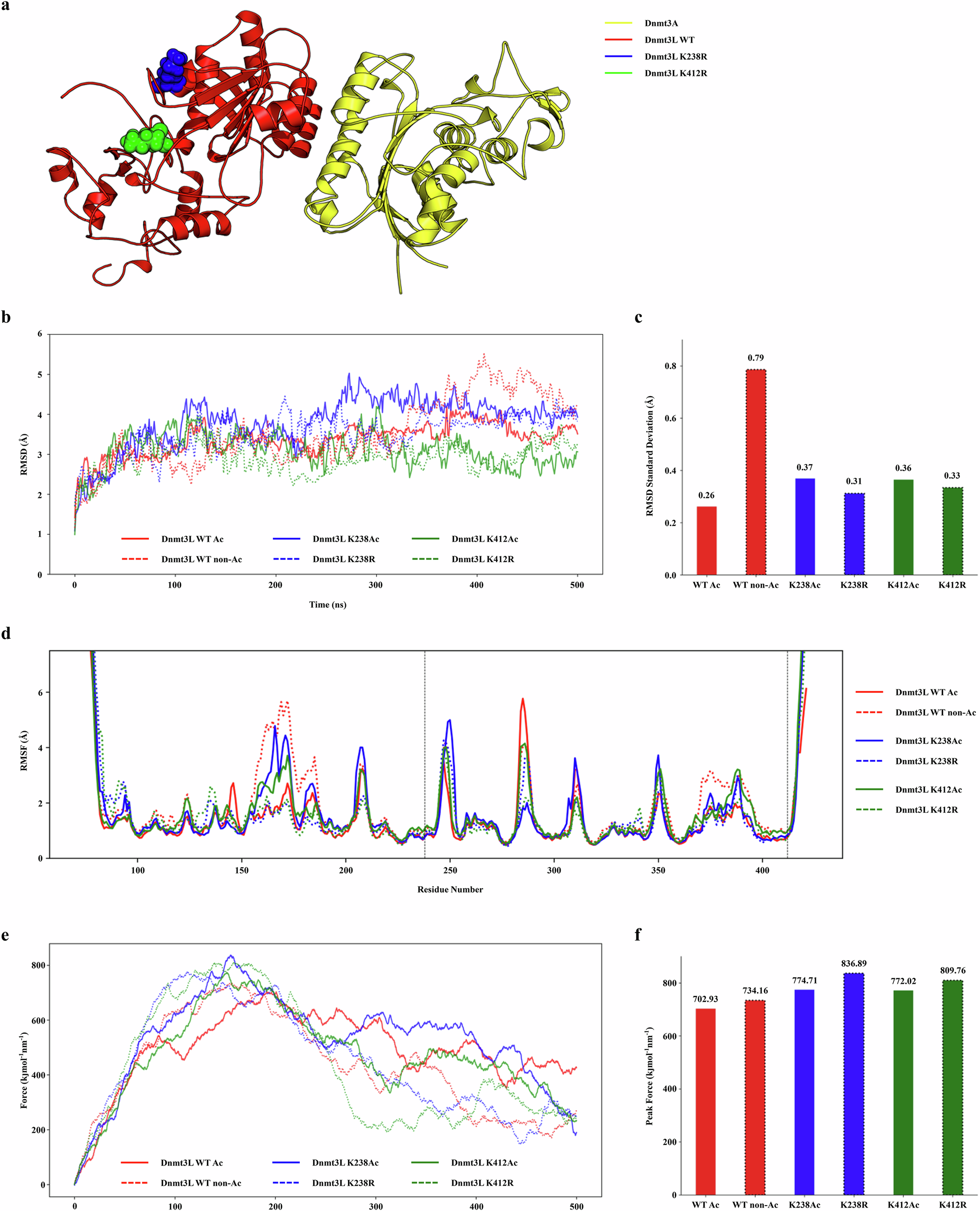 Fig. 3: MD reveals altered structural flexibility of Dnmt3L variants.