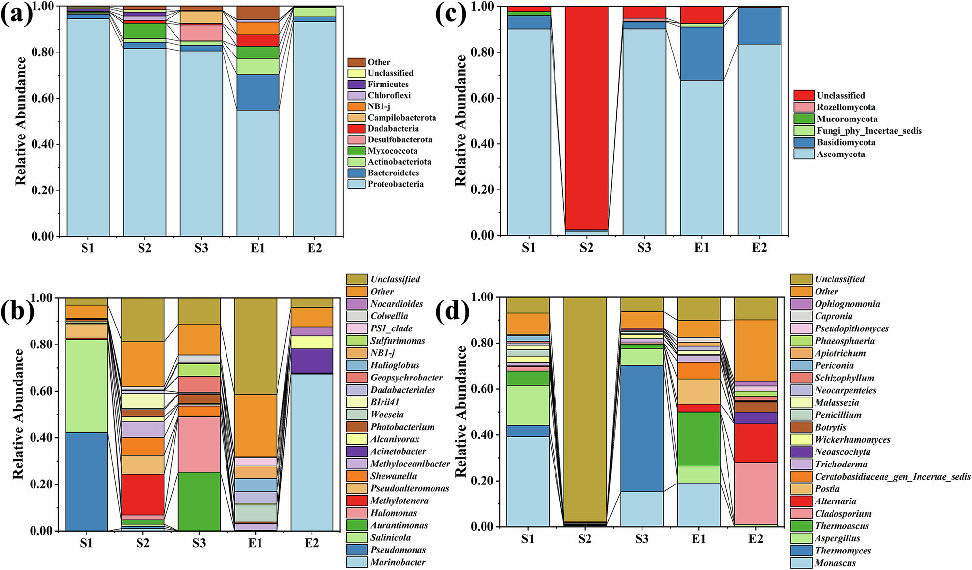 Fig. 6: Bacteria and fungi in waterlogged archaeological wood and its surrounding environment.