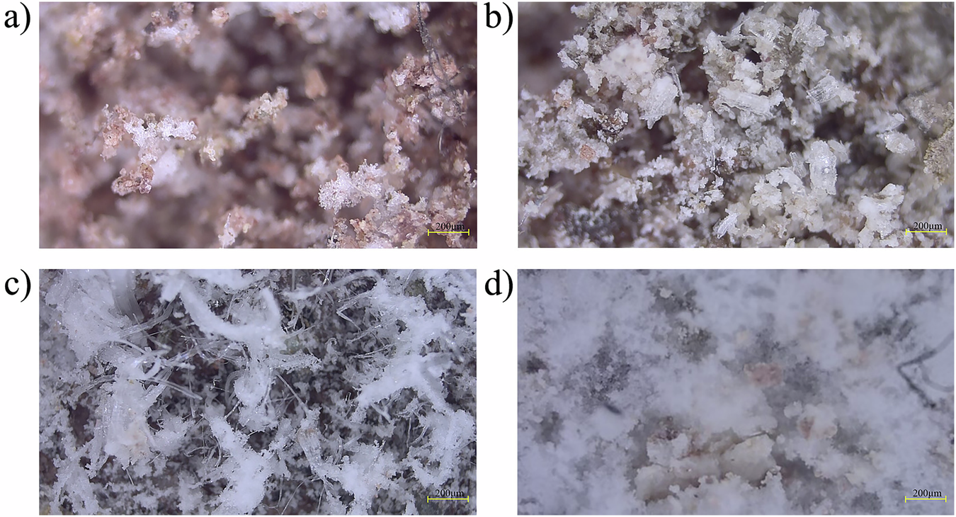 Fig. 12