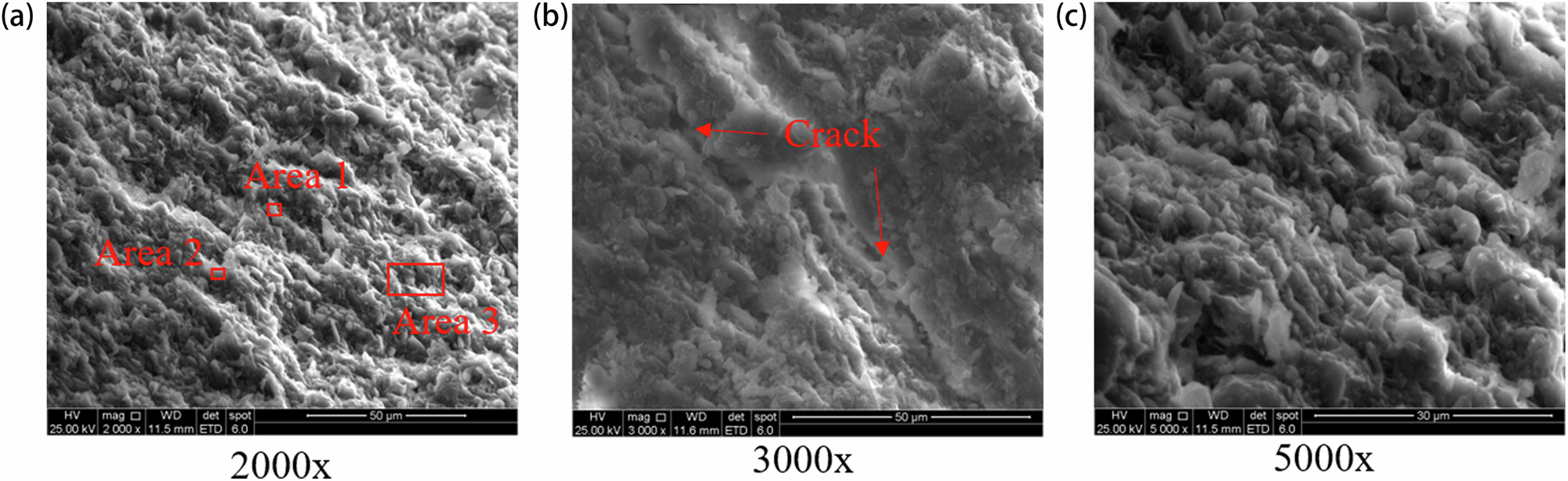 Fig. 12