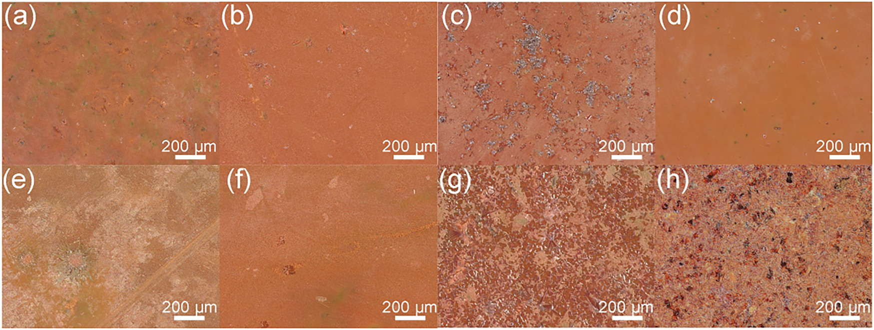 Fig. 3: Optical images of samples.