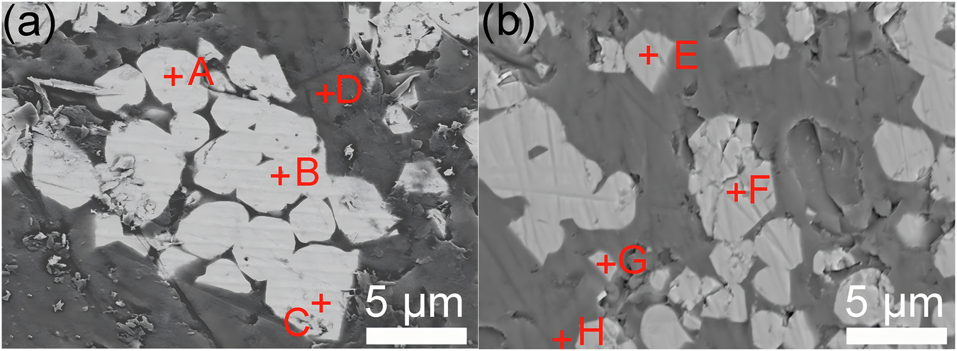 Fig. 5: SEM image of hematite crystals.