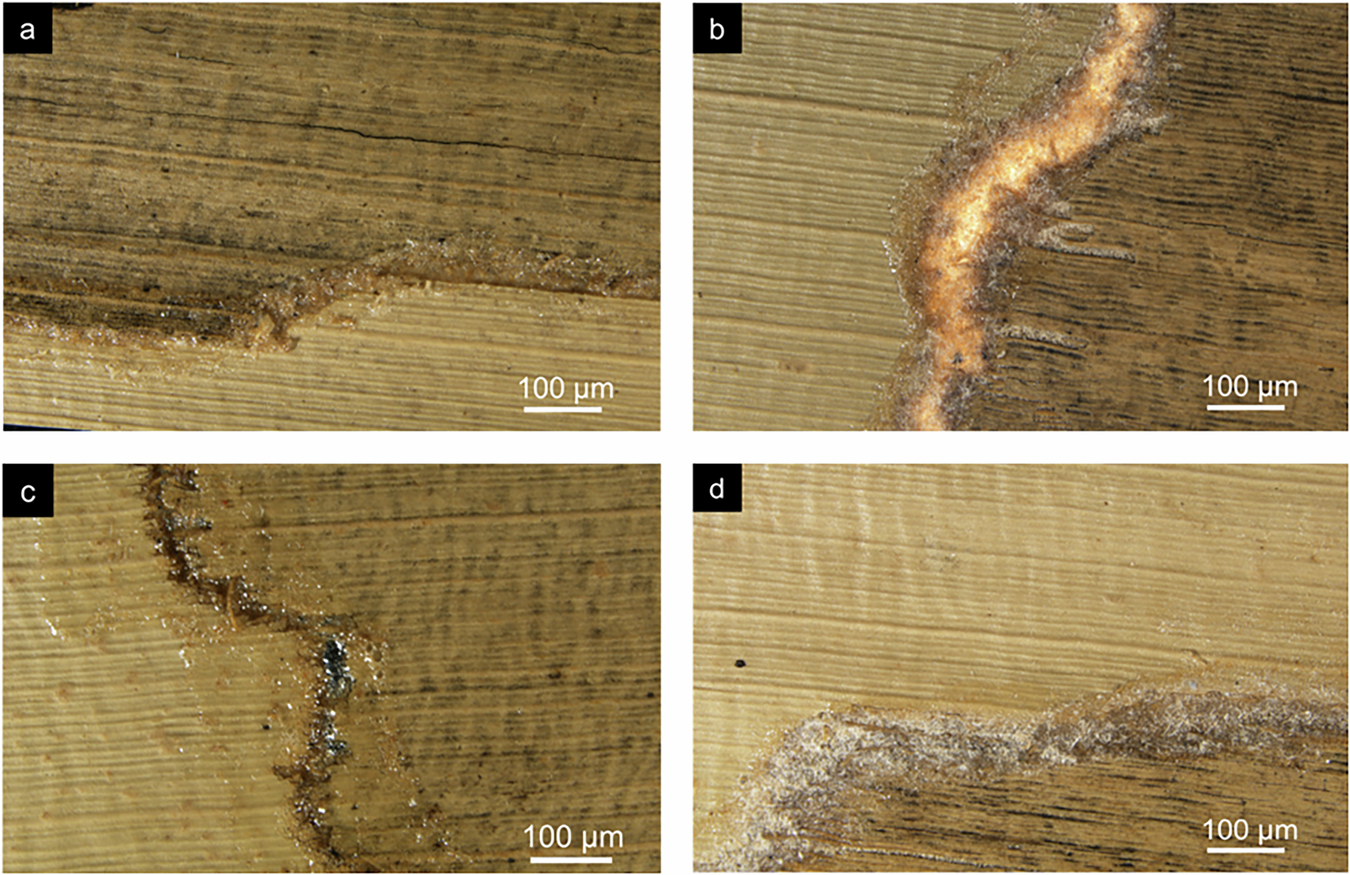 Fig. 12: Microscopic observations of the restored area.