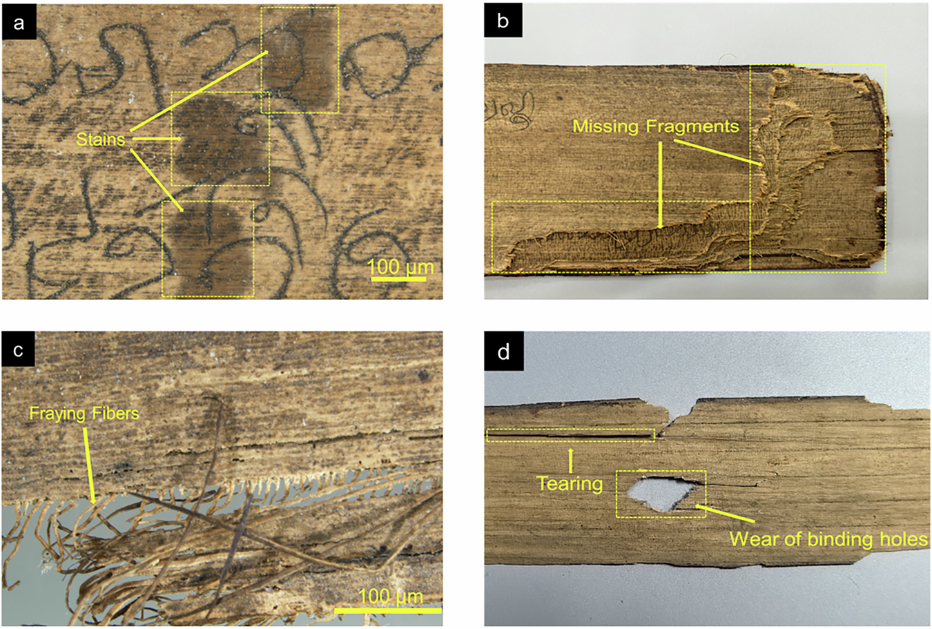 Fig. 1: Photographic images shown different types of damage to the Bala Shanghaya manuscript specimen.