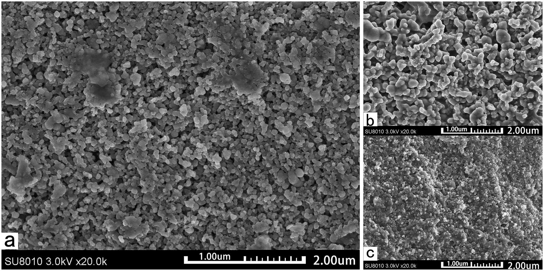 Fig. 2: Scanning electron microscope photographs.