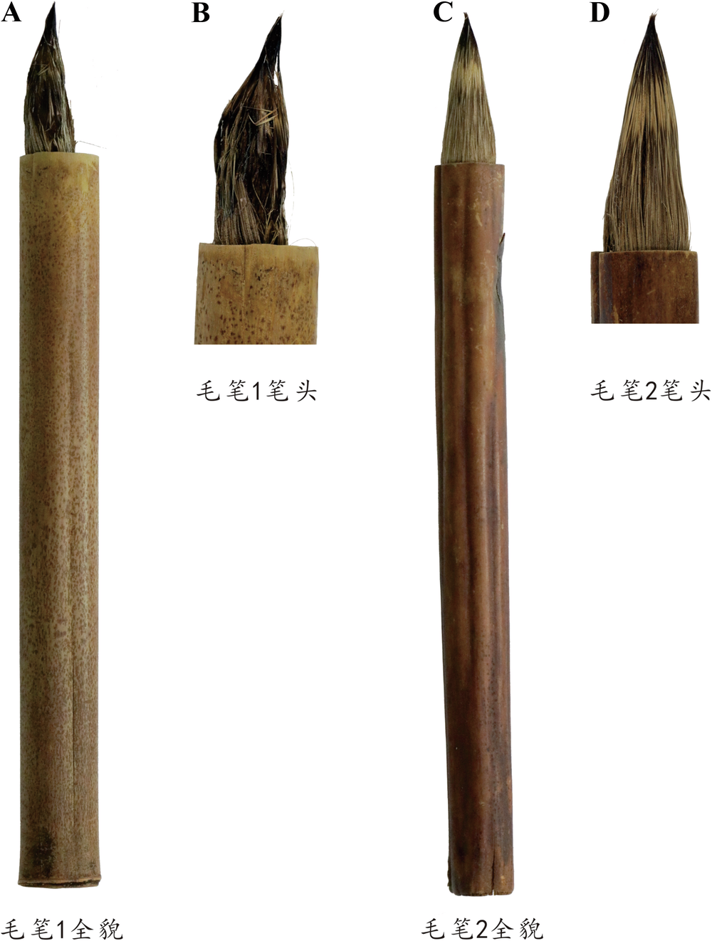 Fig. 3: Picture of brushs.