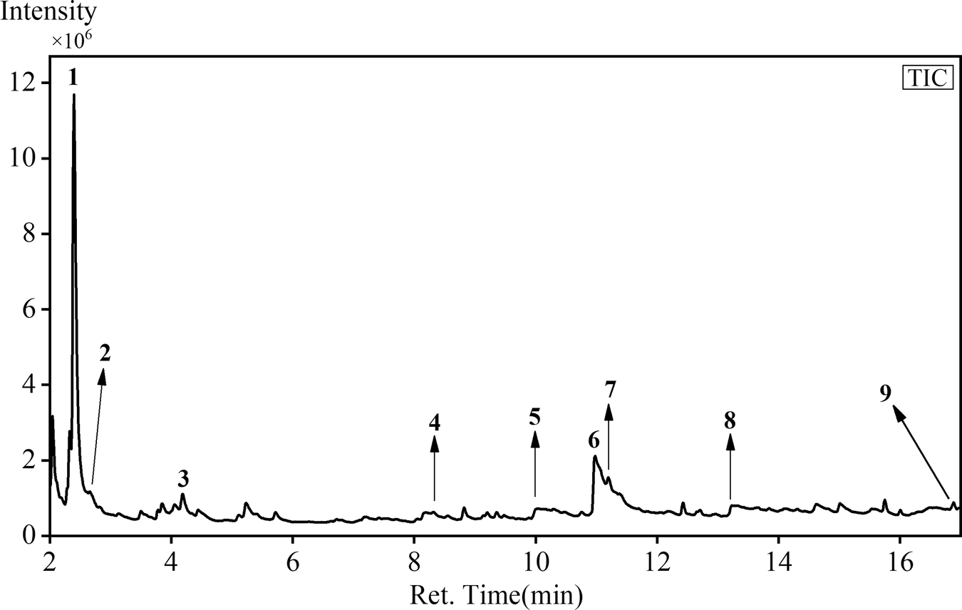 Fig. 9: The total ion chromatograms (TIC) of the yellow fiber sample.