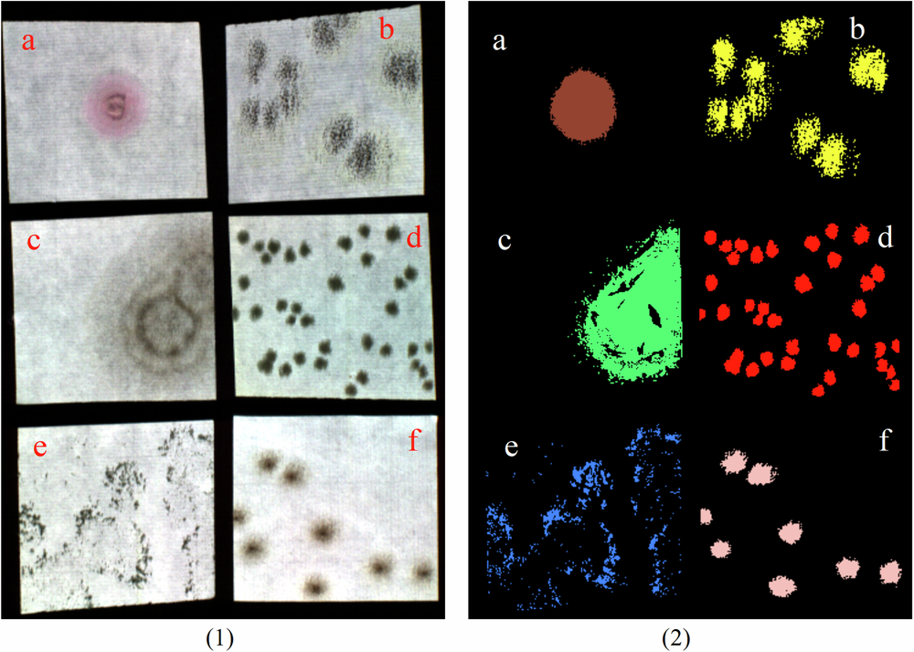 Fig. 5: Images of simulated mold spots.
