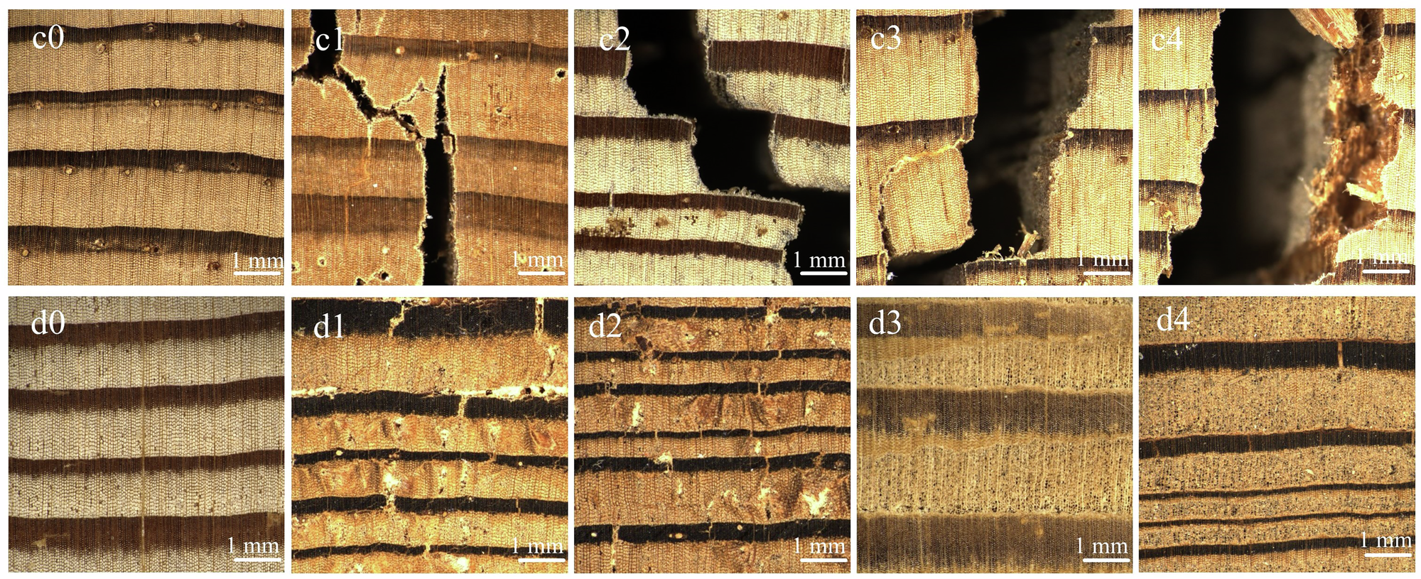 Fig. 3: Image illustration of wood crack and decay at different levels collected from the components of wooden heritage architectures.
