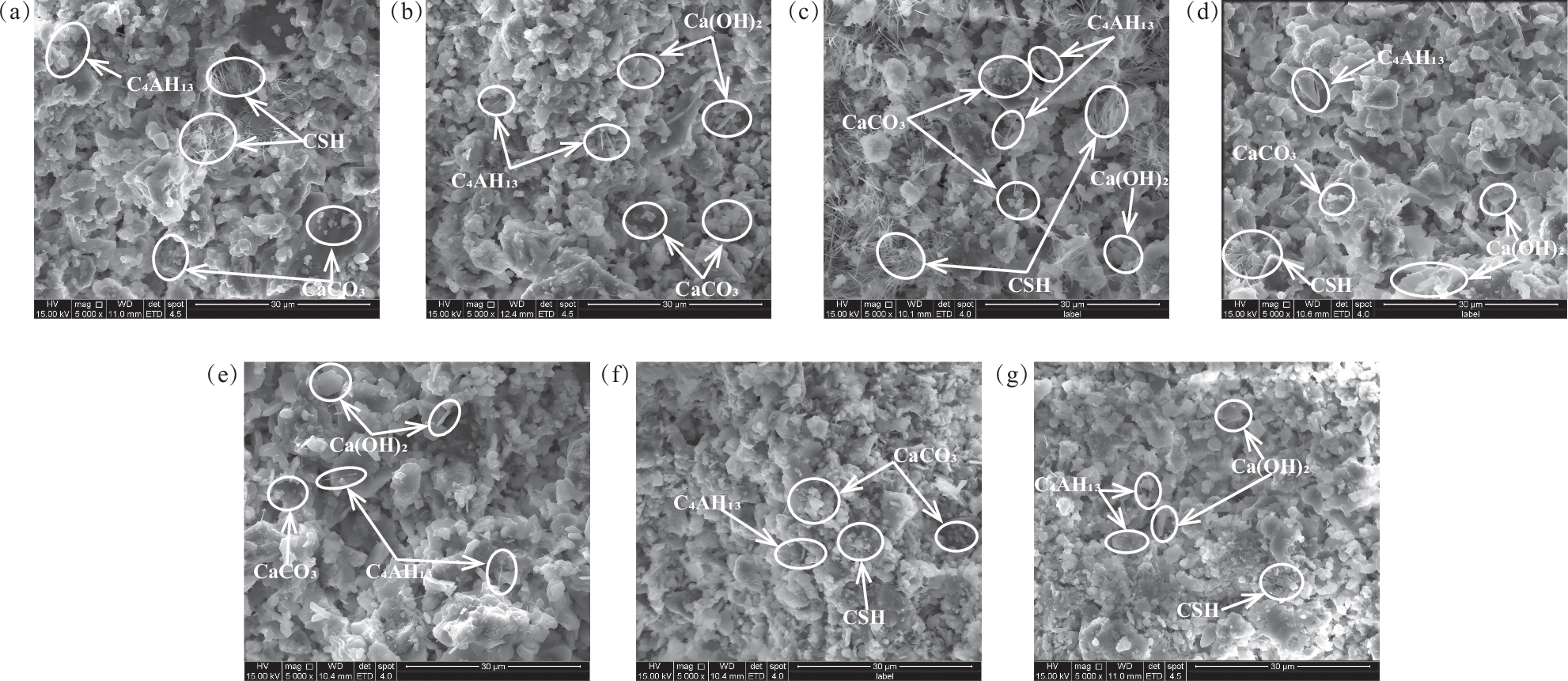 Fig. 13: SEM images of grout concretion specimens at 28 days.