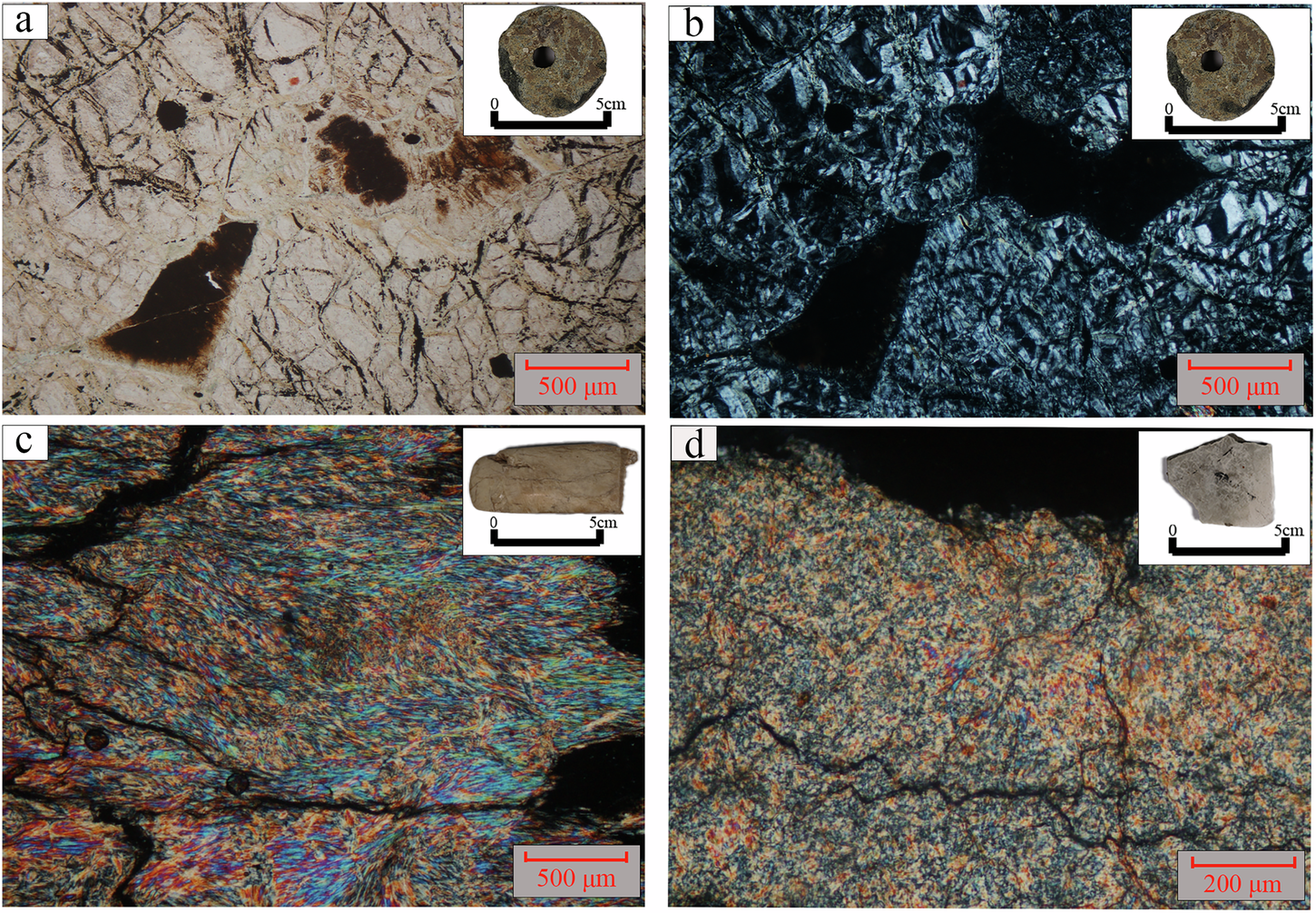 Fig. 7: Macroscopic and microscopic characteristics of the samples.