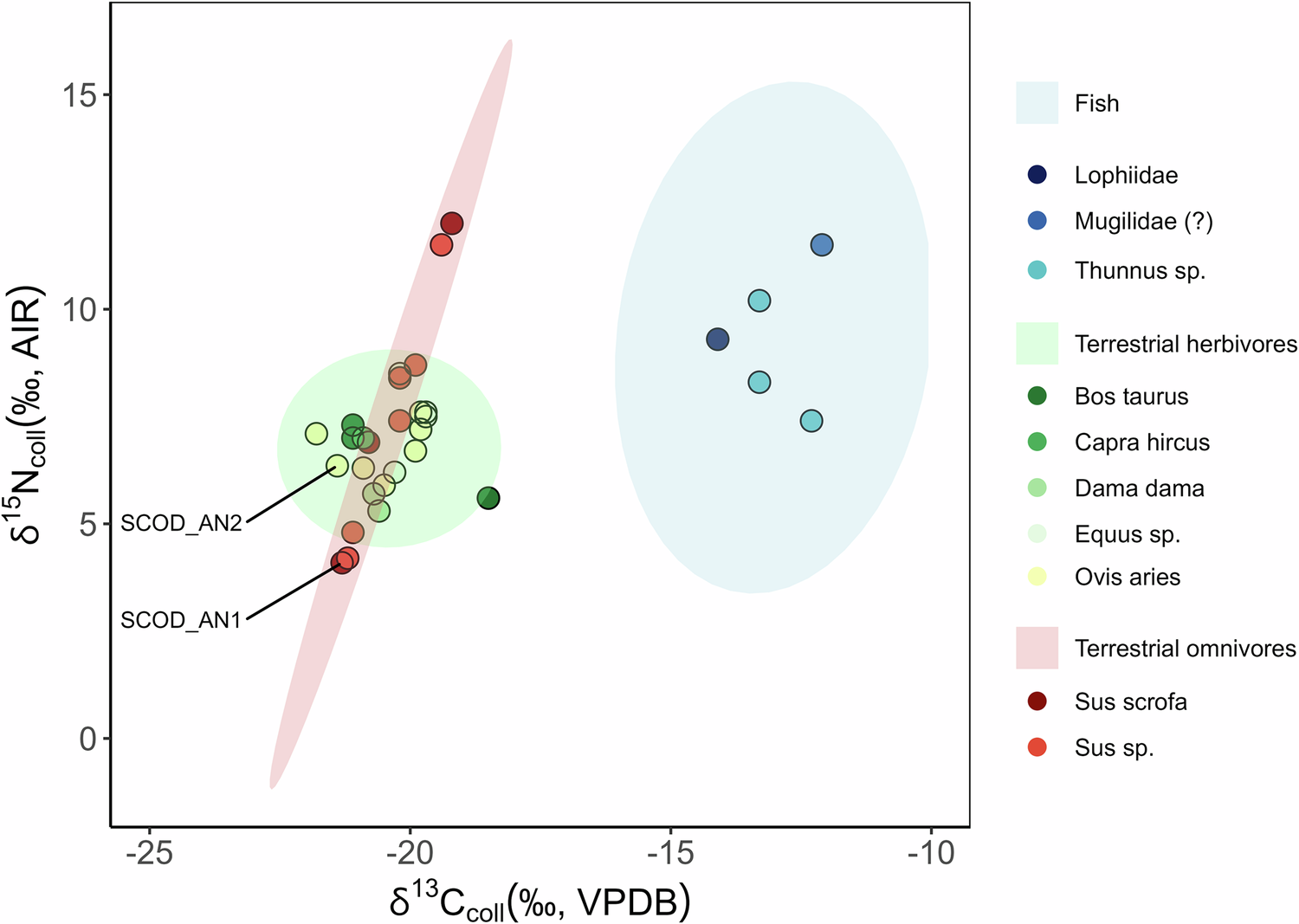 Fig. 2: Faunal isotope data.