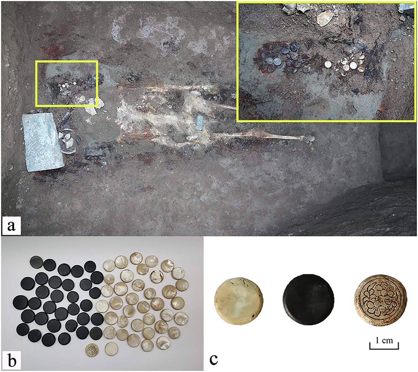 Fig. 1: Photographs of the sample.